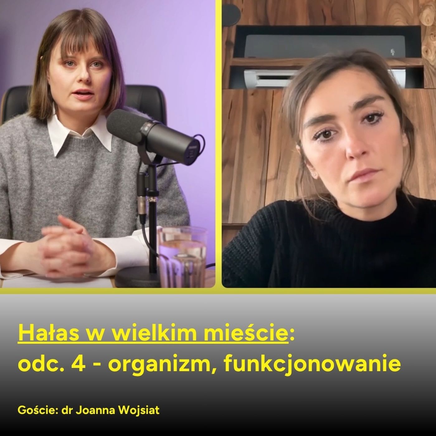 Hałas w wielkim mieście - odc. 4 - organizm, funkcjonowanie (gościni: dr Joanna Wojsiat) episode artwork