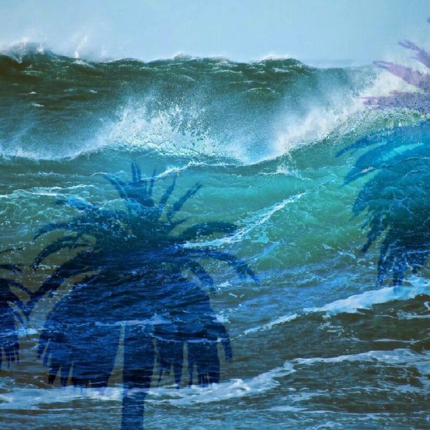 Gisborne🌊🌳 episode artwork