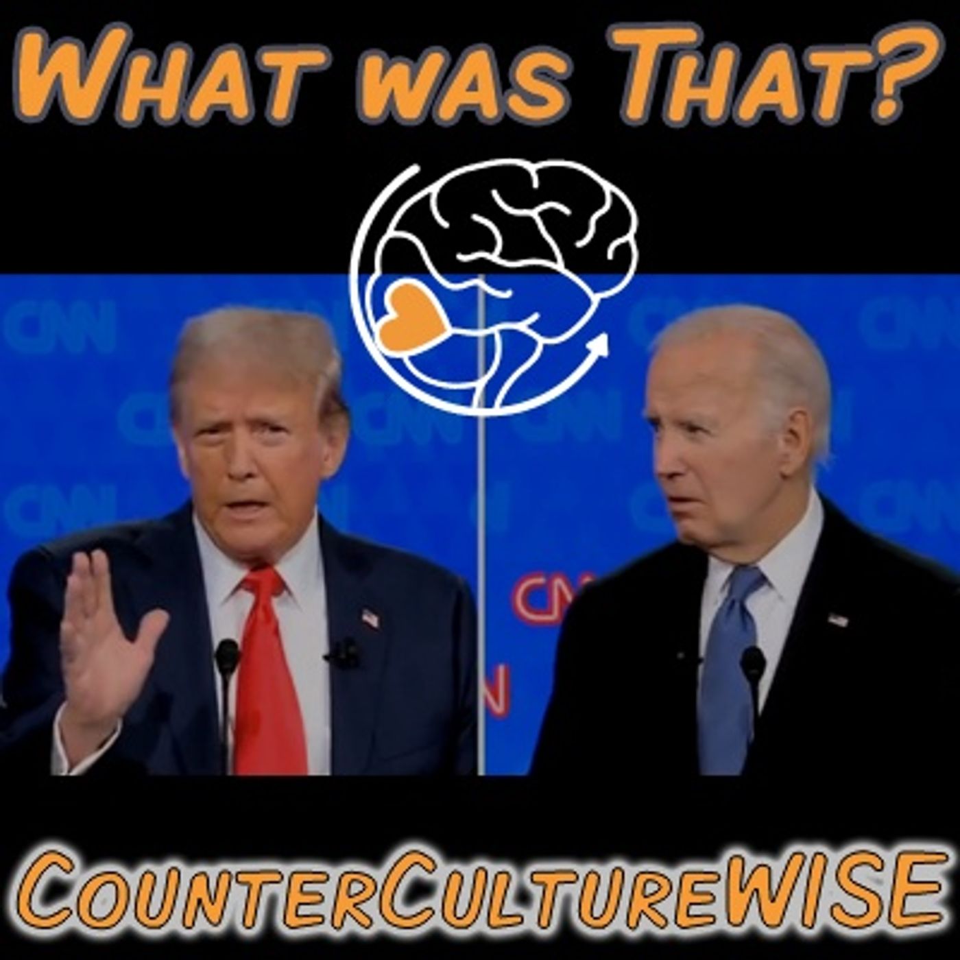 CounterCultureWISE