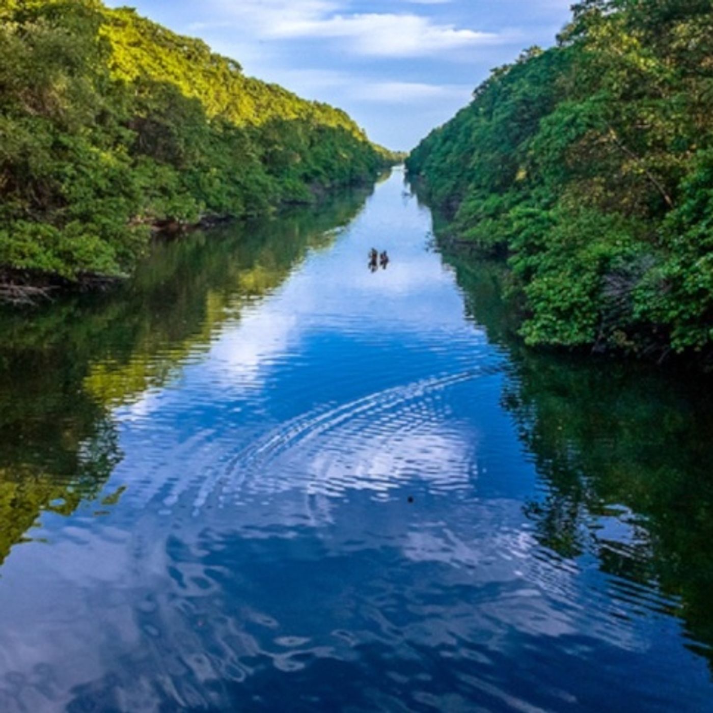 Estudo do LABOMAR mostra a contaminação dos rios Ceará e Cocó por agrotóxicos urbanos