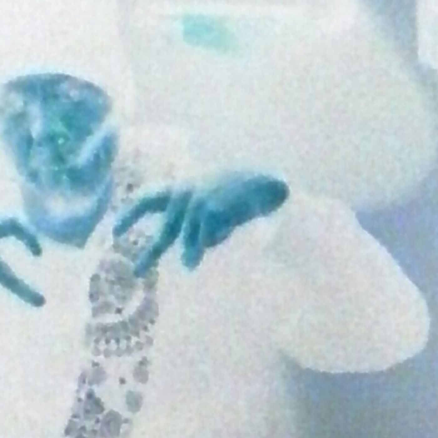 All Love N8V Lord Freestyle Tone of GME 2017