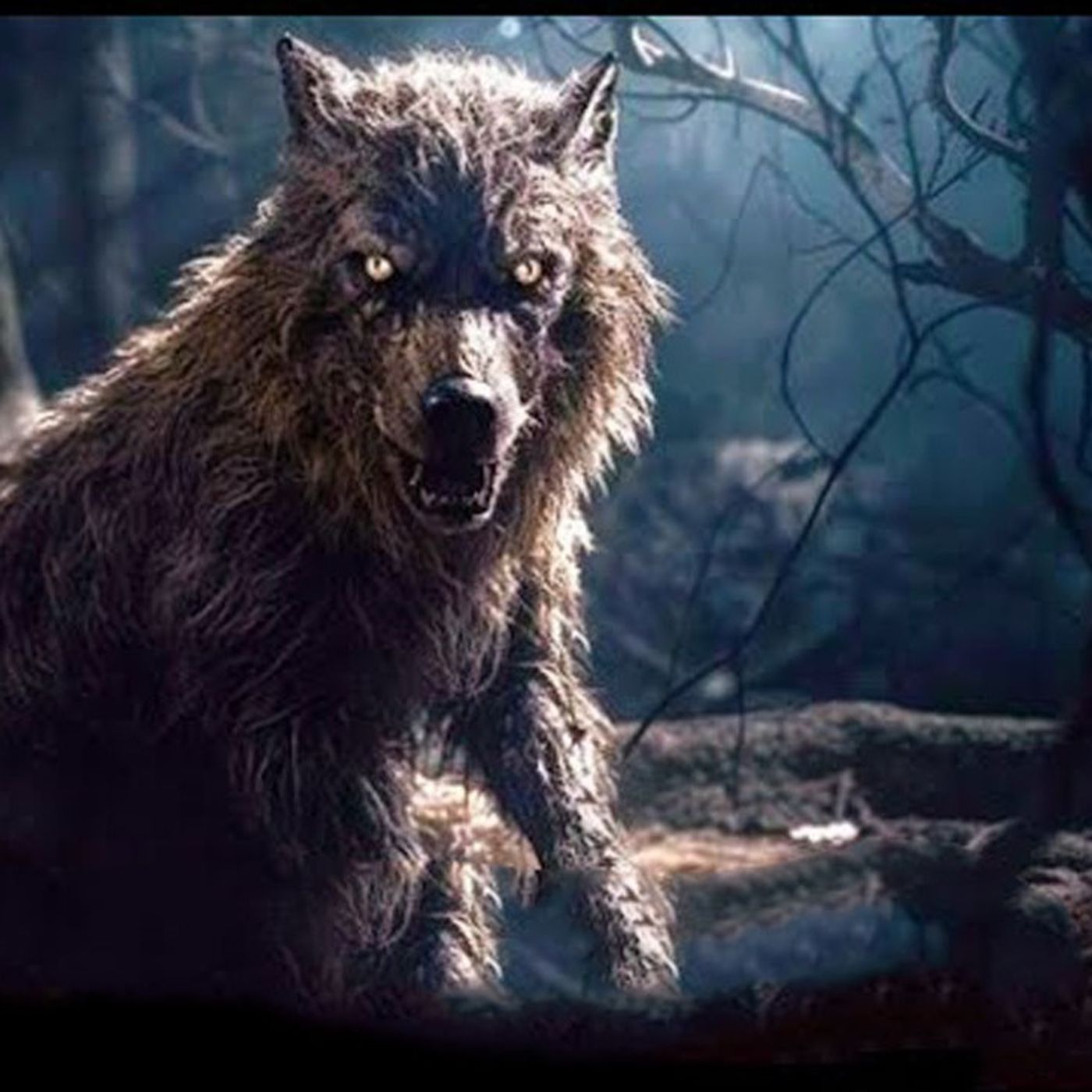 Mi Encuentro Con Un NAHUAL : NADIE ESTÁ A SALVO - Historias De Terror - Voces De La Noche