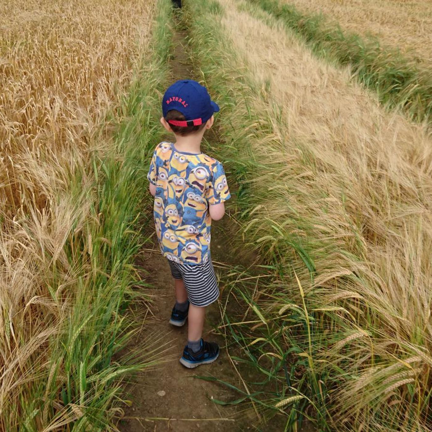 Seeking semi-d to rent in Clonmel for free range kids #Boo5Min