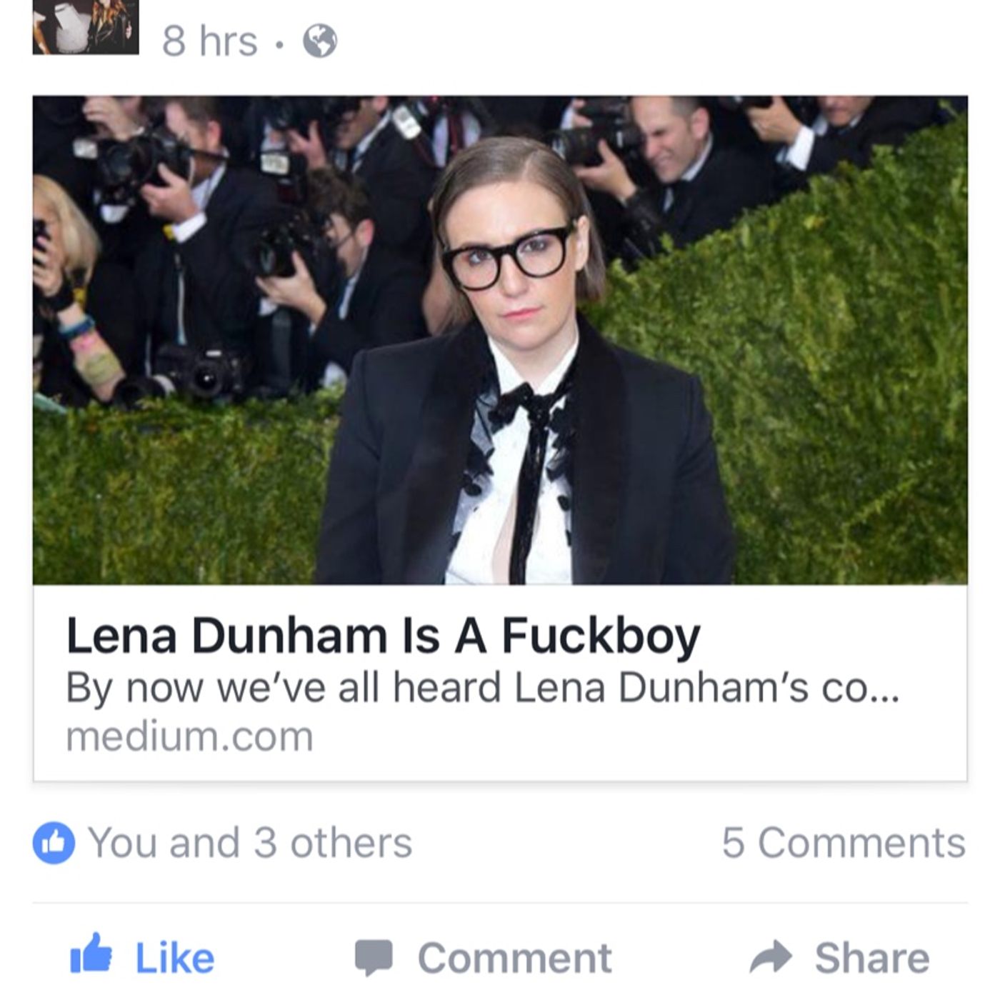 vaginas with the attitude cover art