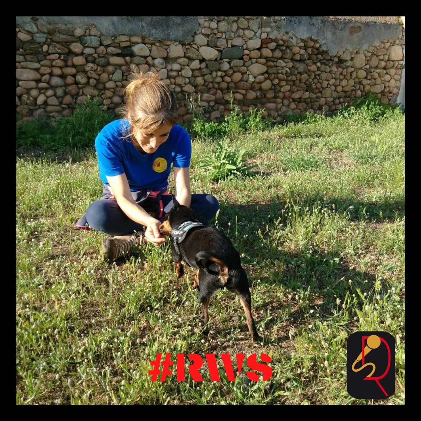 Amici a quattro zampe 🐶🐾