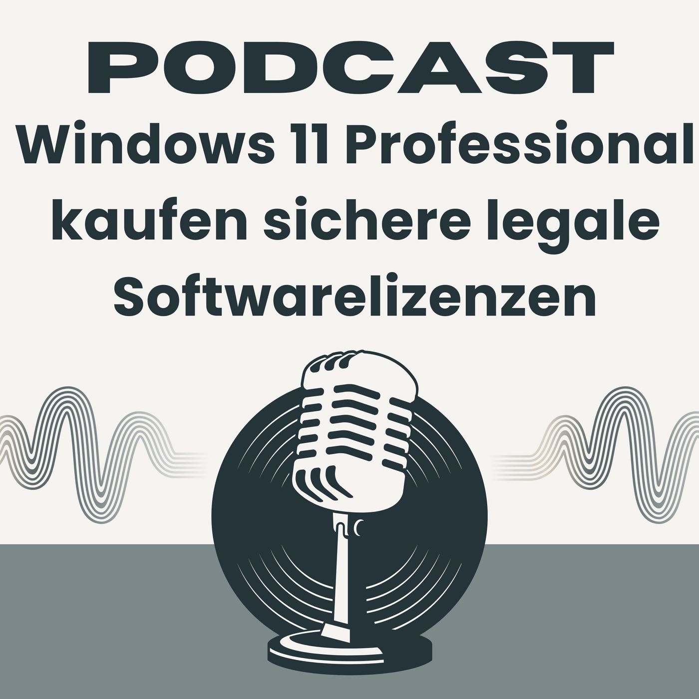 Windows 11 Professional kaufen sichere legale Softwarelizenzen episode artwork