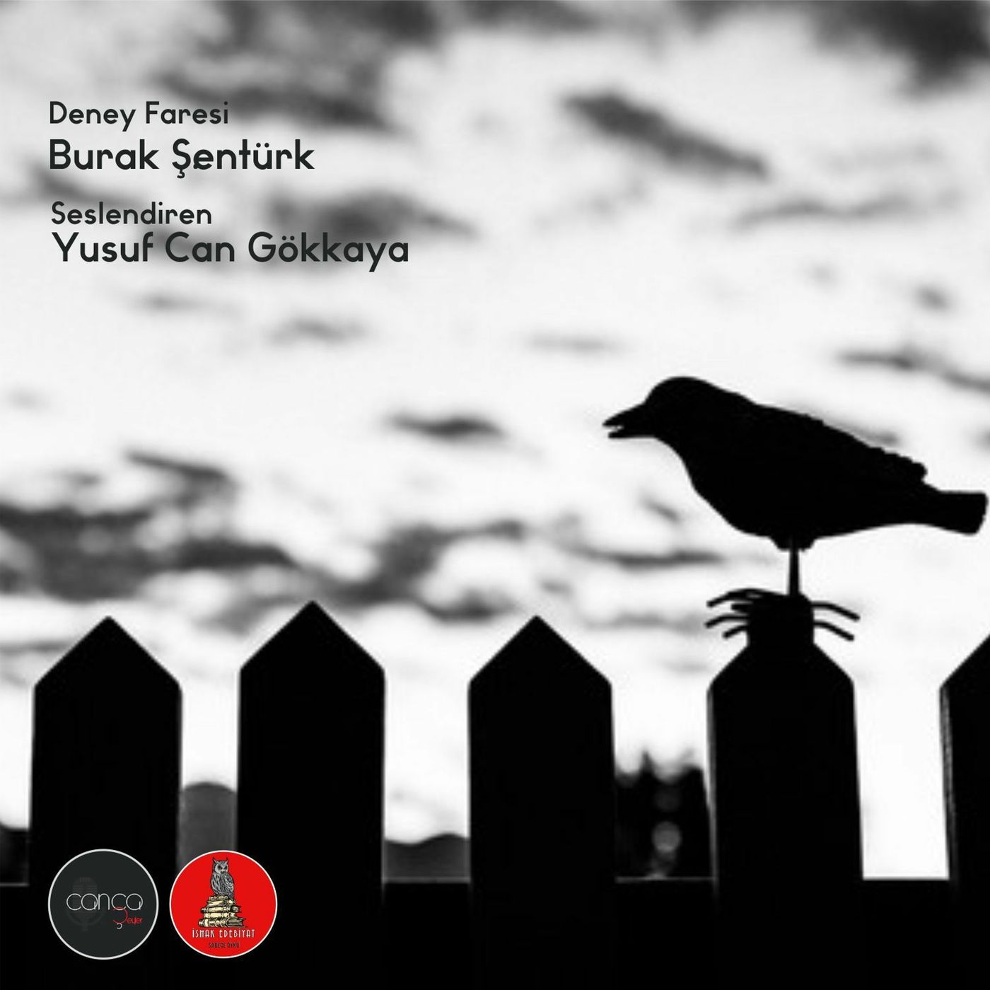Öykü | Burak Şentürk - Deney Faresi