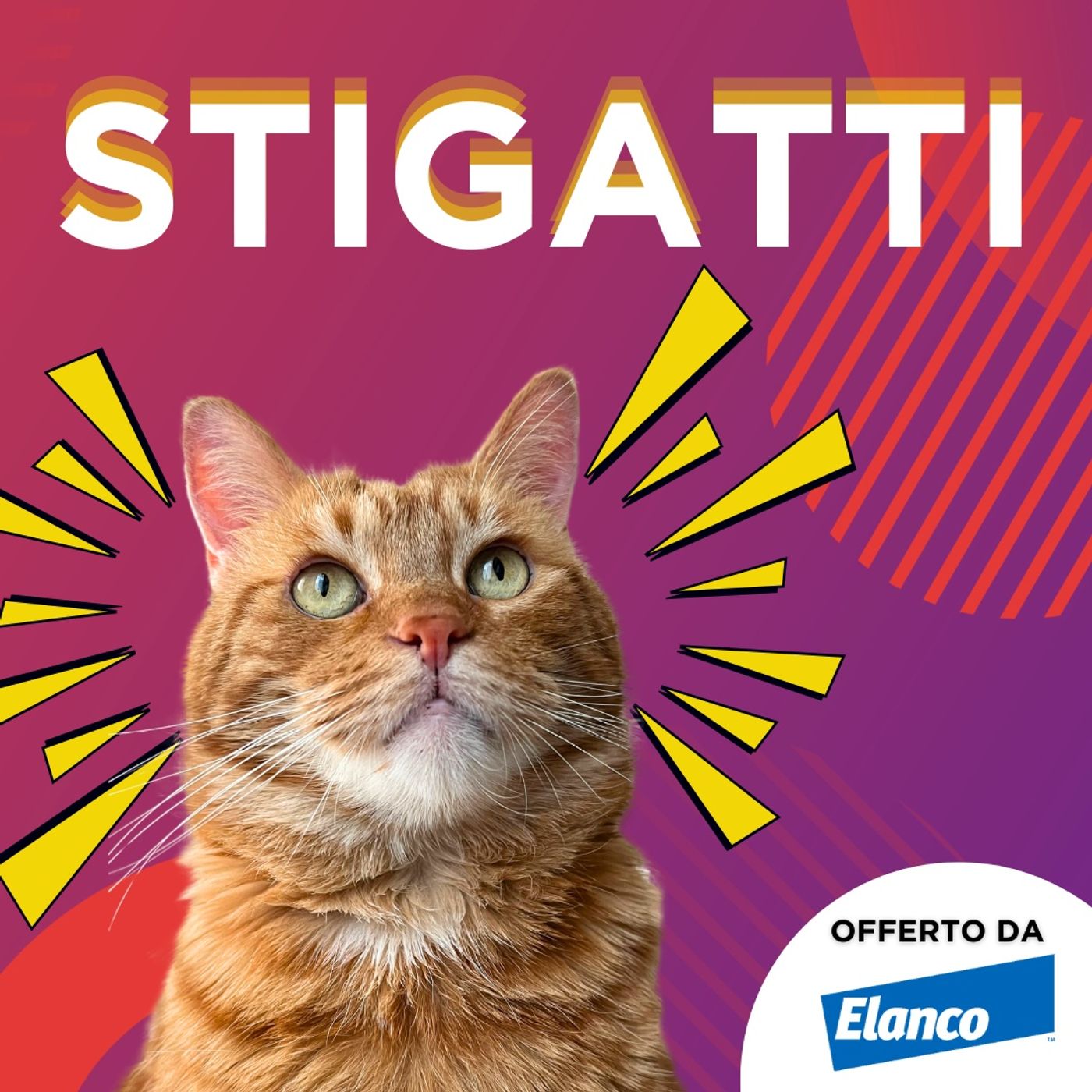 10. Vado in Vacanza e il Gatto?