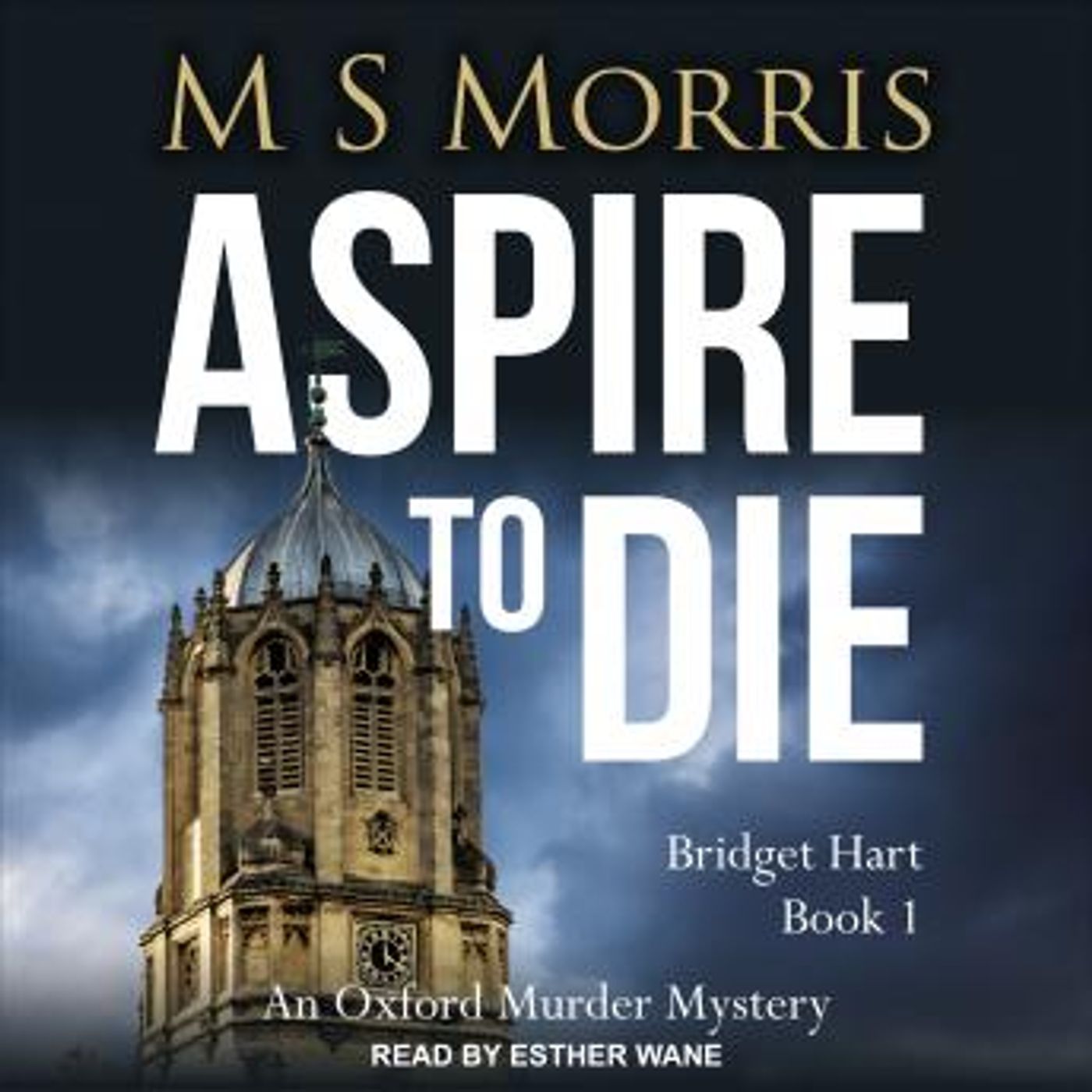 Aspire to Die: An Oxford Murder Mystery by M S Morris episode artwork