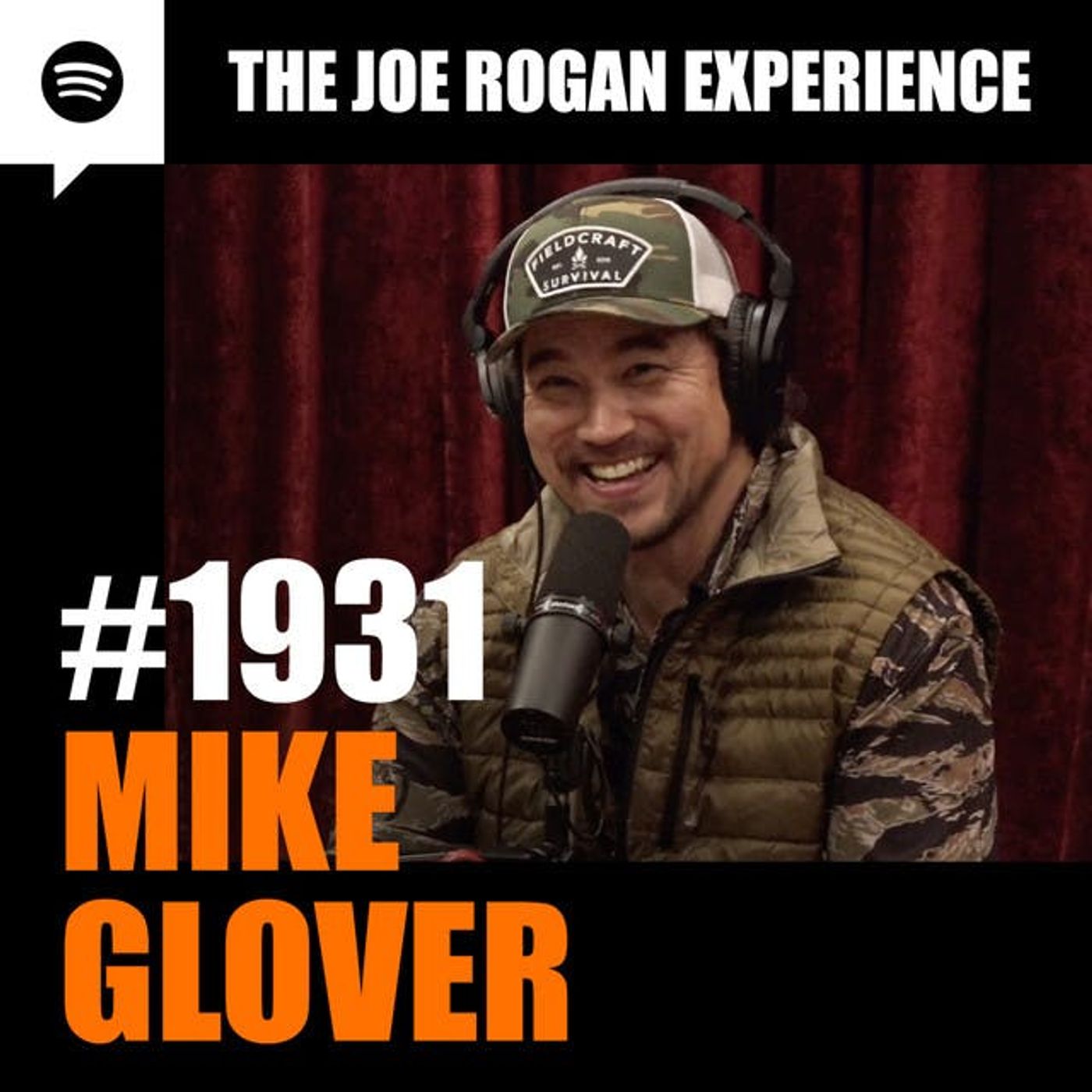 The Joe Rogan Experience