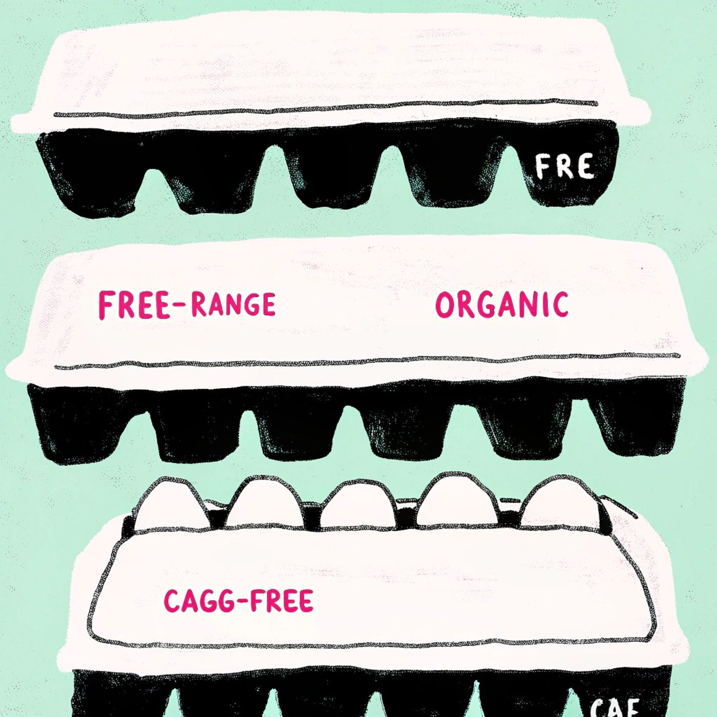Cage-Free Lies: Deciphering Your Egg Carton
