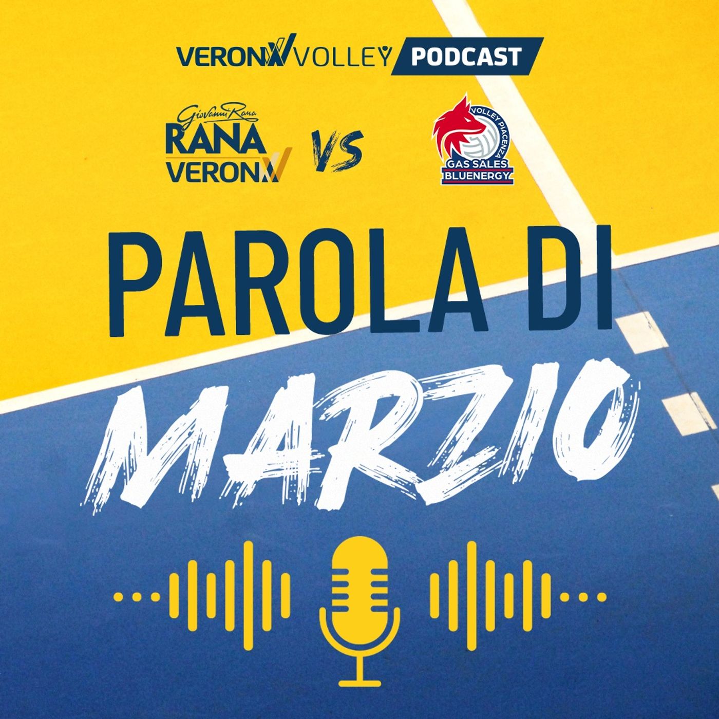 RANA VERONA vs PIACENZA: il commento episode artwork
