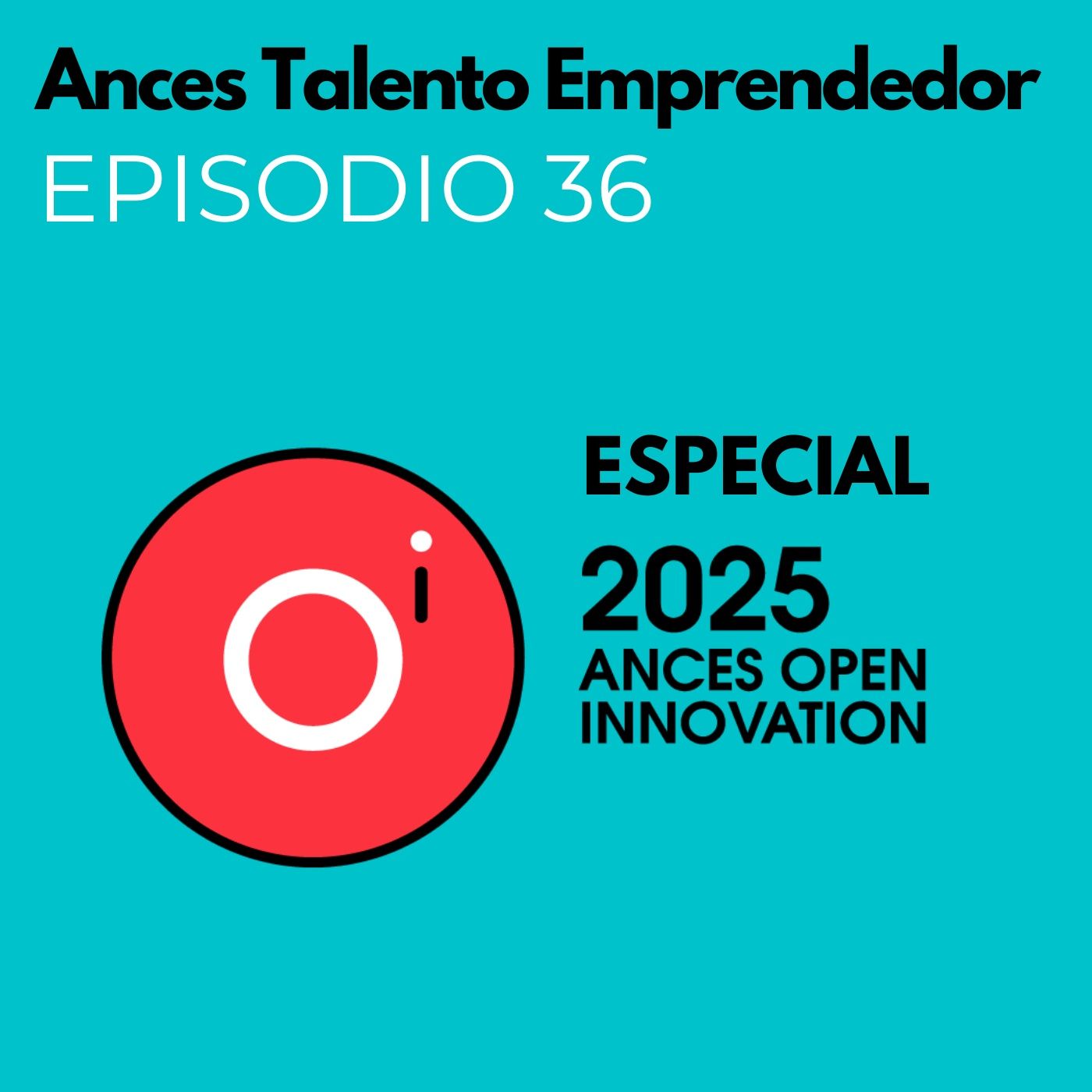 Ances Talento Emprendedor