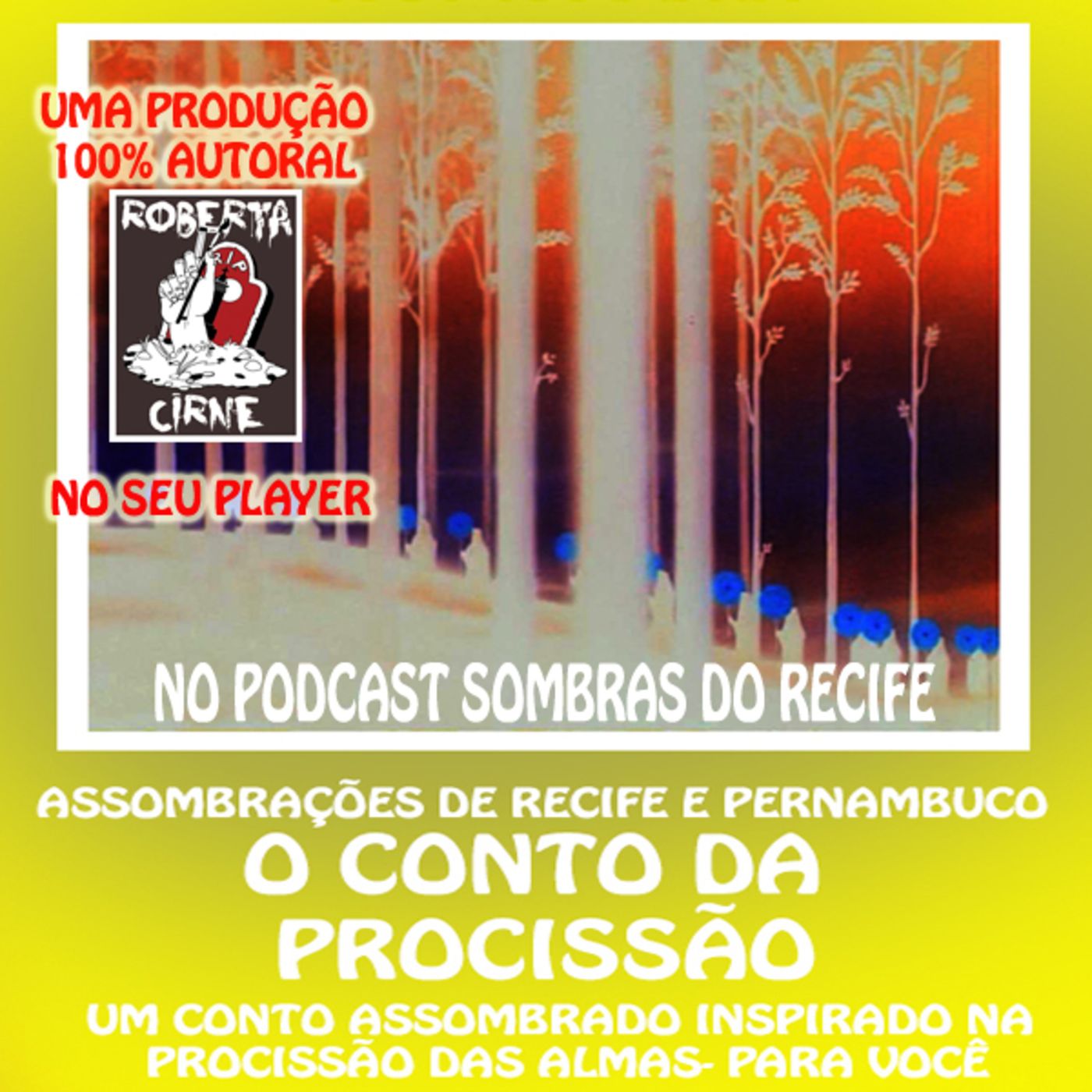 SOMBRAS DO RECIFE