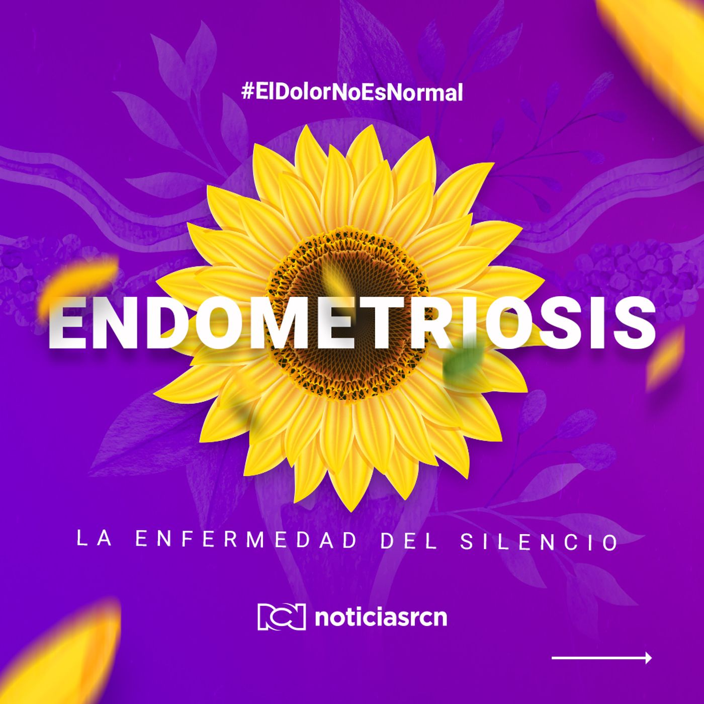 Endometriosis, enfermedad del silencio podcast artwork