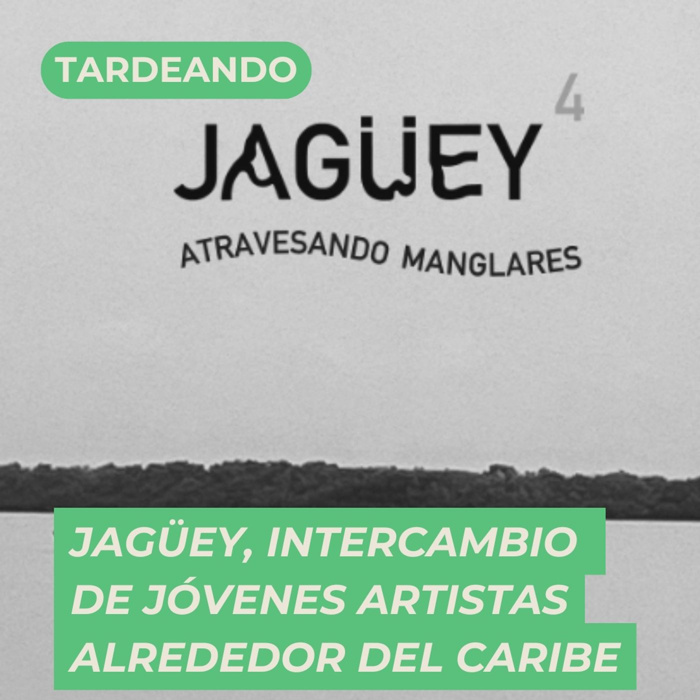 Encuentros Jagüey :: Intercambio de jóvenes artistas alrededor del Caribe episode artwork