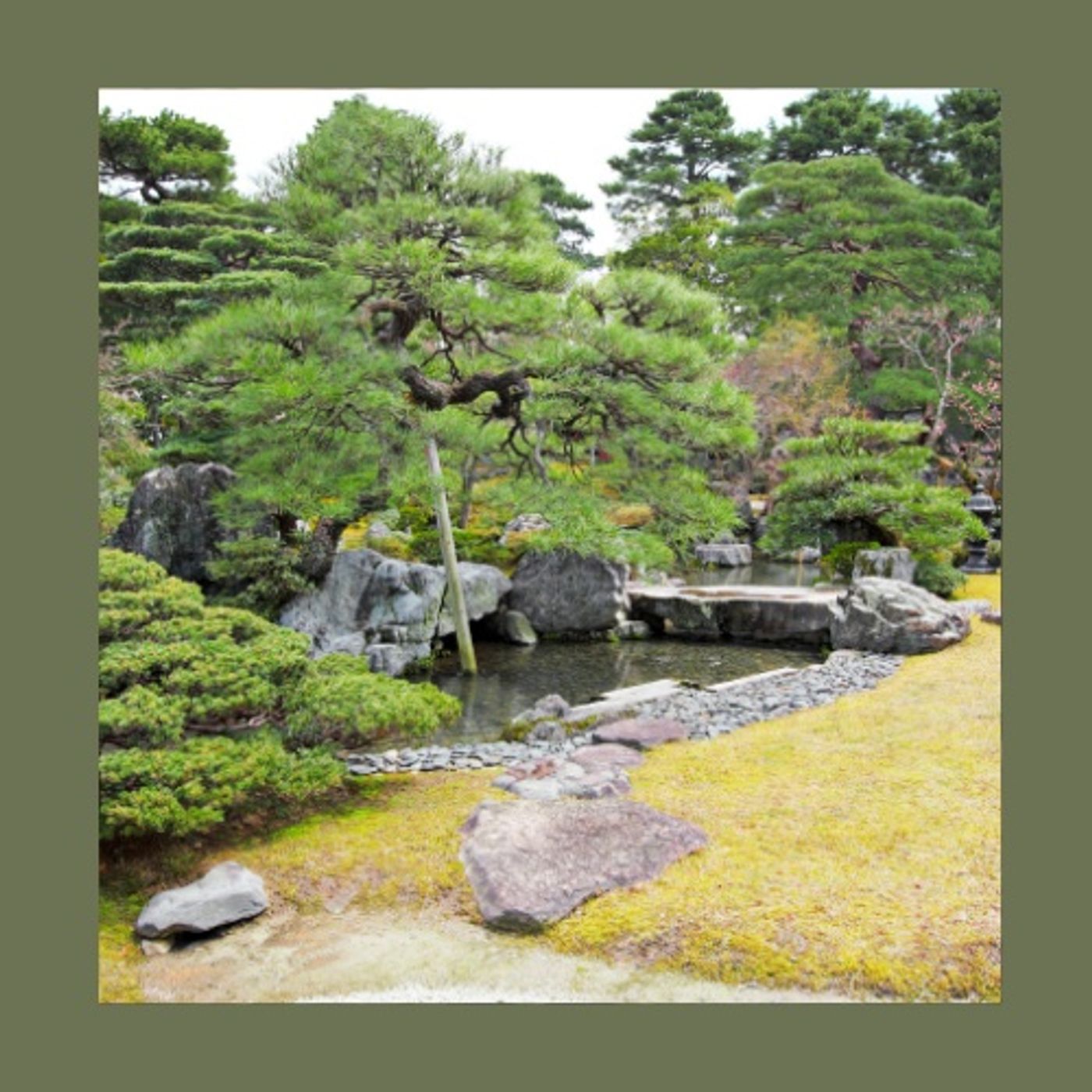 #113 Religione e Giardinaggio: Dal Giardino Formale al Giardino Naturale