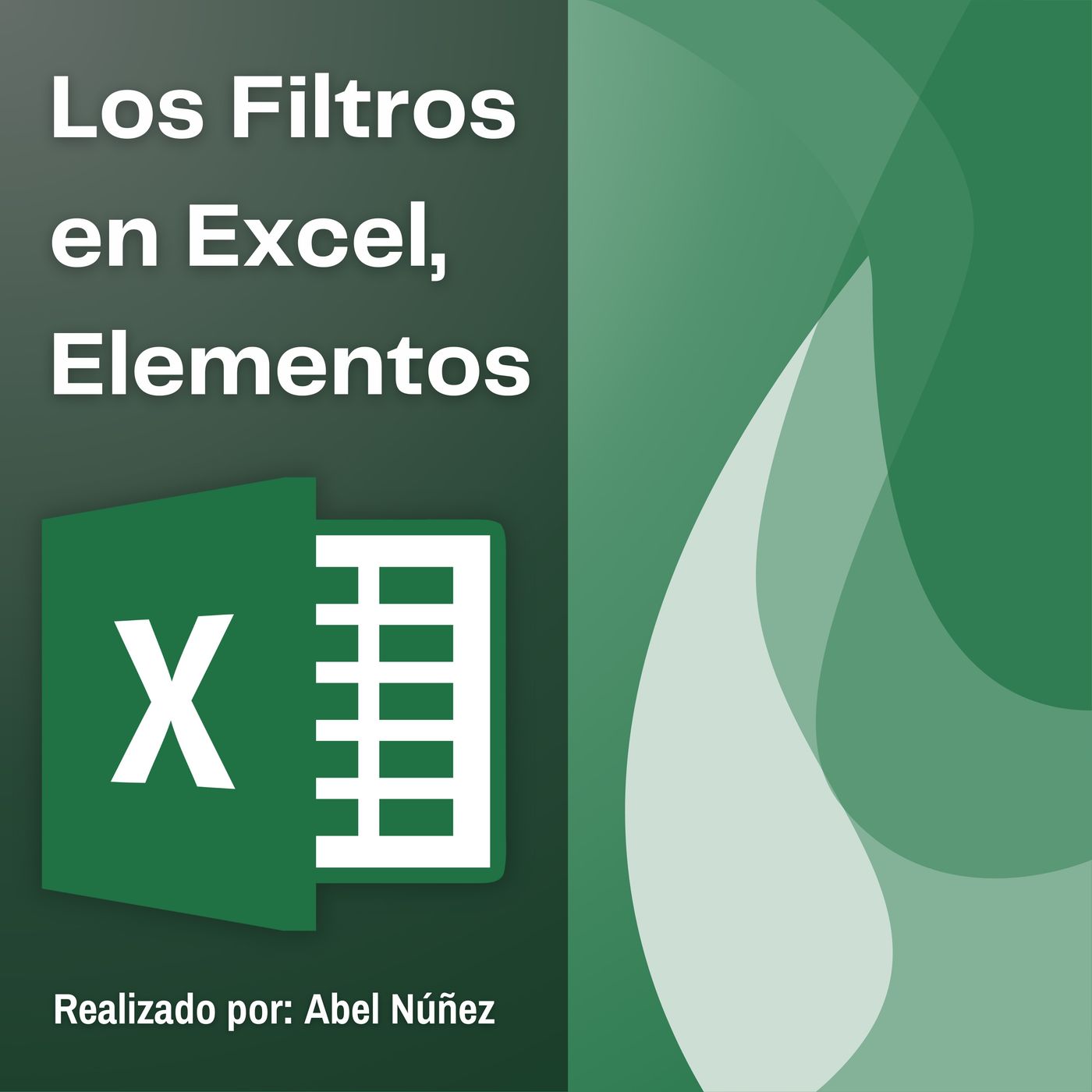 Los Filtros en Excel, Elementos