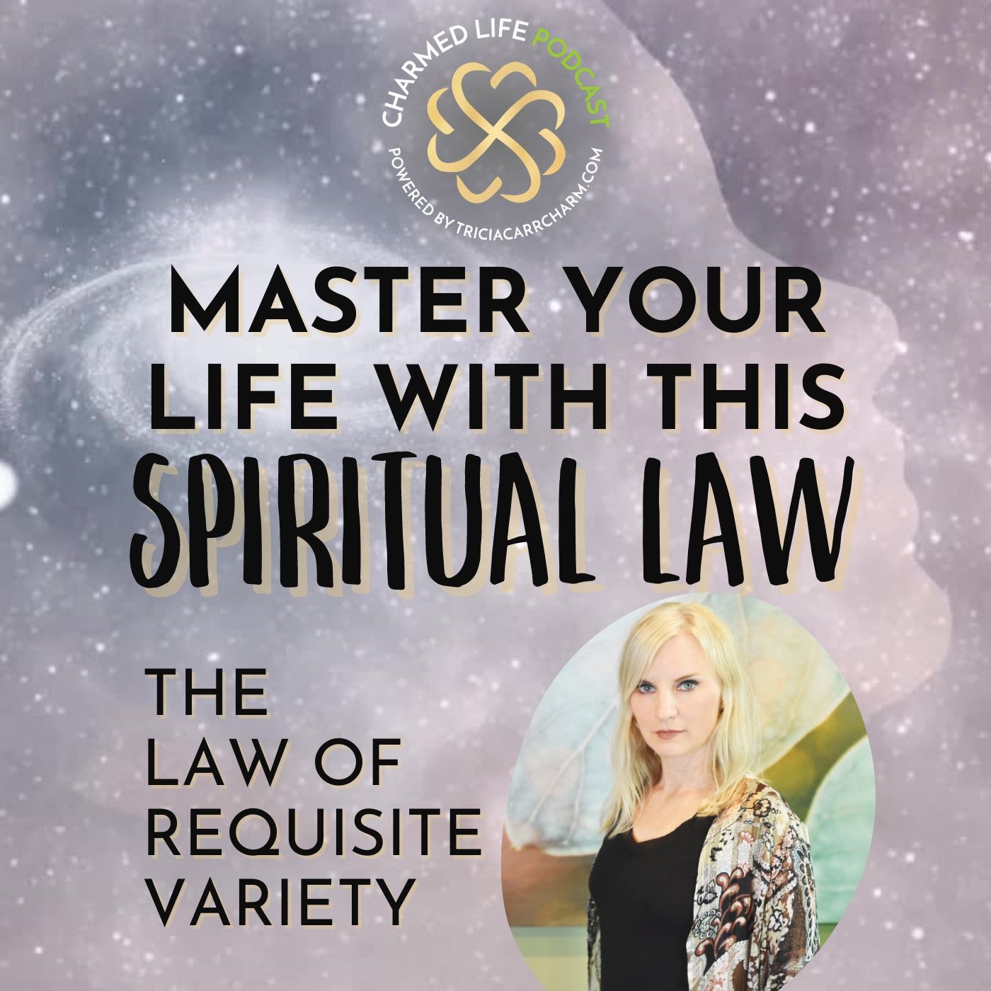 Master Your Life with This Spiritual Law | The Law of Requisite Variety
