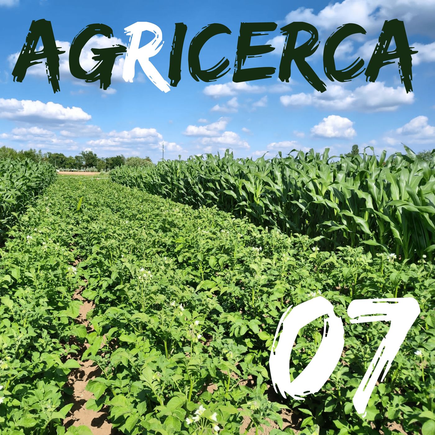 agRicerca