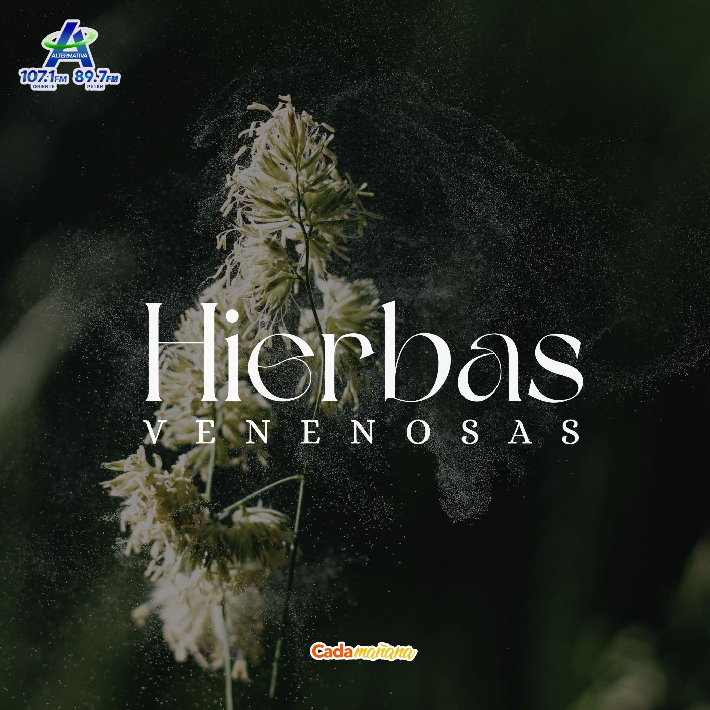 Hierbas Venenosas episode artwork