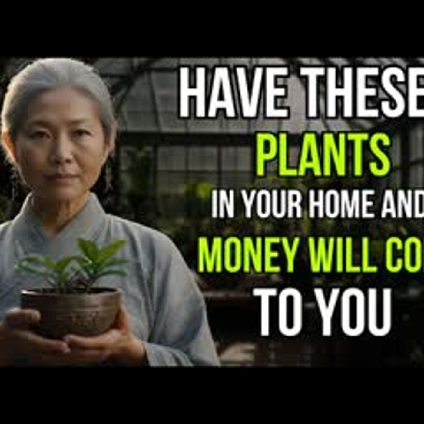 The Fortune Plant Attract Wealth and Prosperity to Your Home   Money Abundance Buddhism