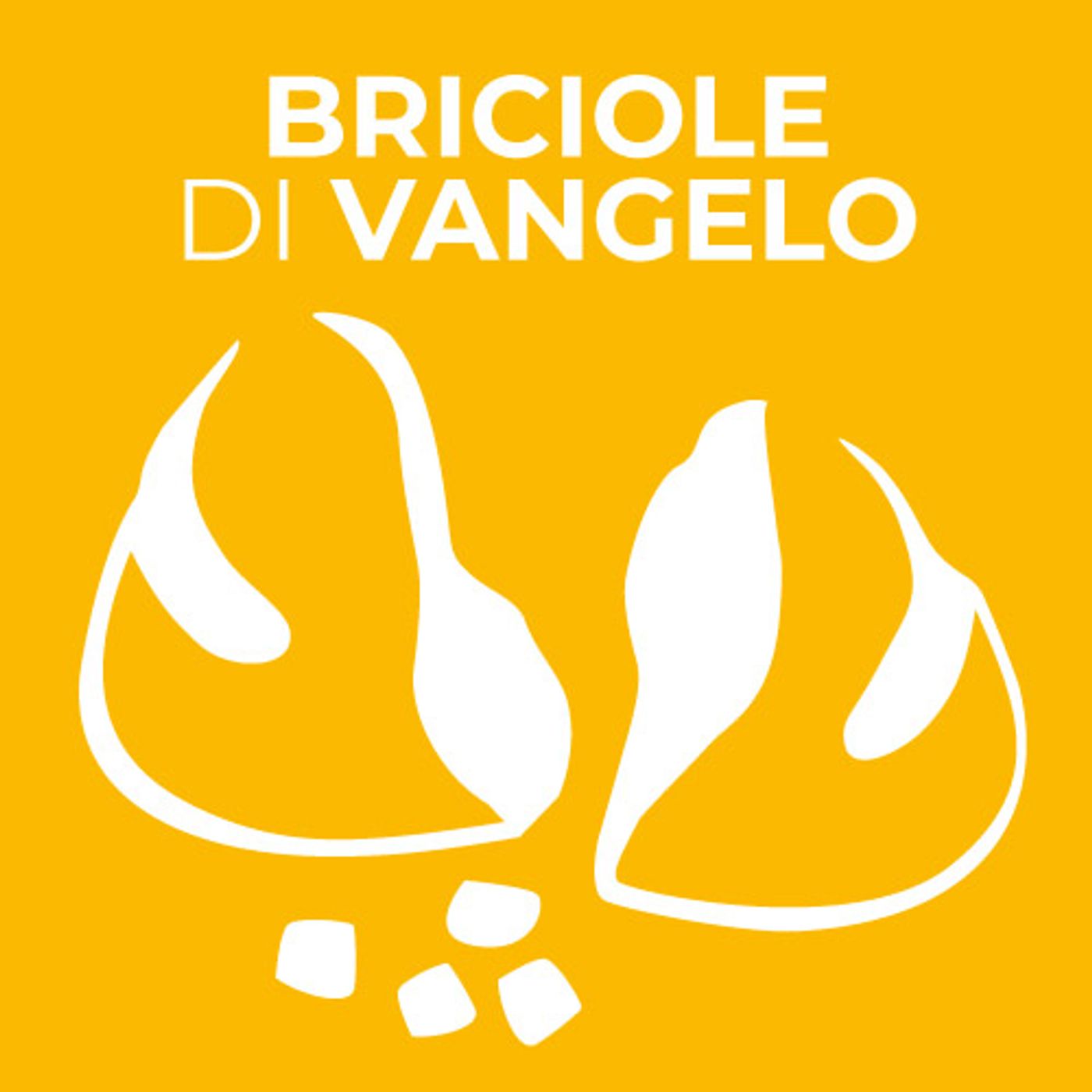 BRICIOLE DI VANGELO