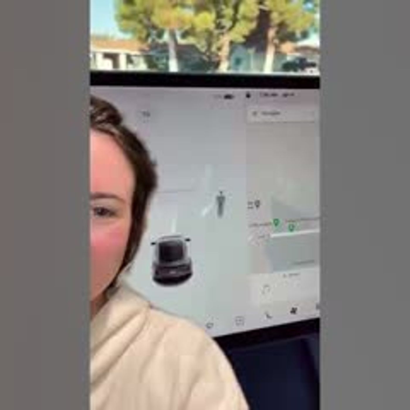 Ghost Caught By Tesla Sensor