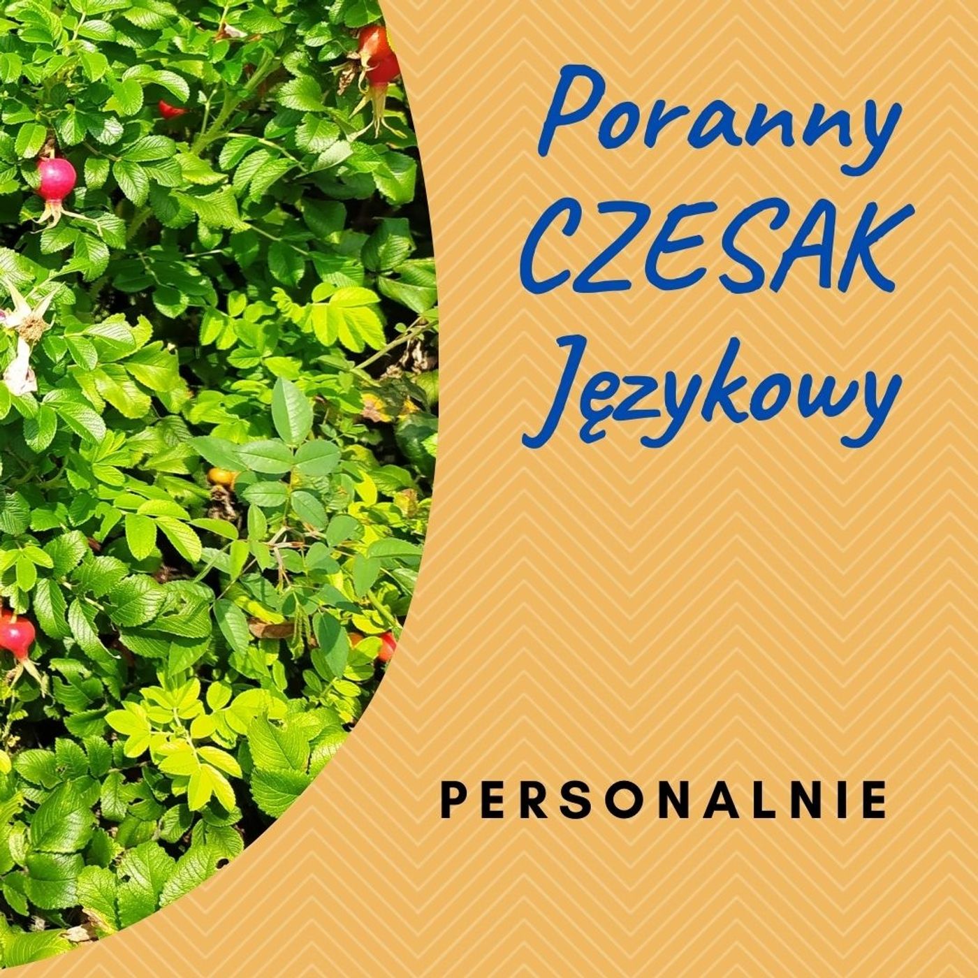 Poranny Czesak Językowy