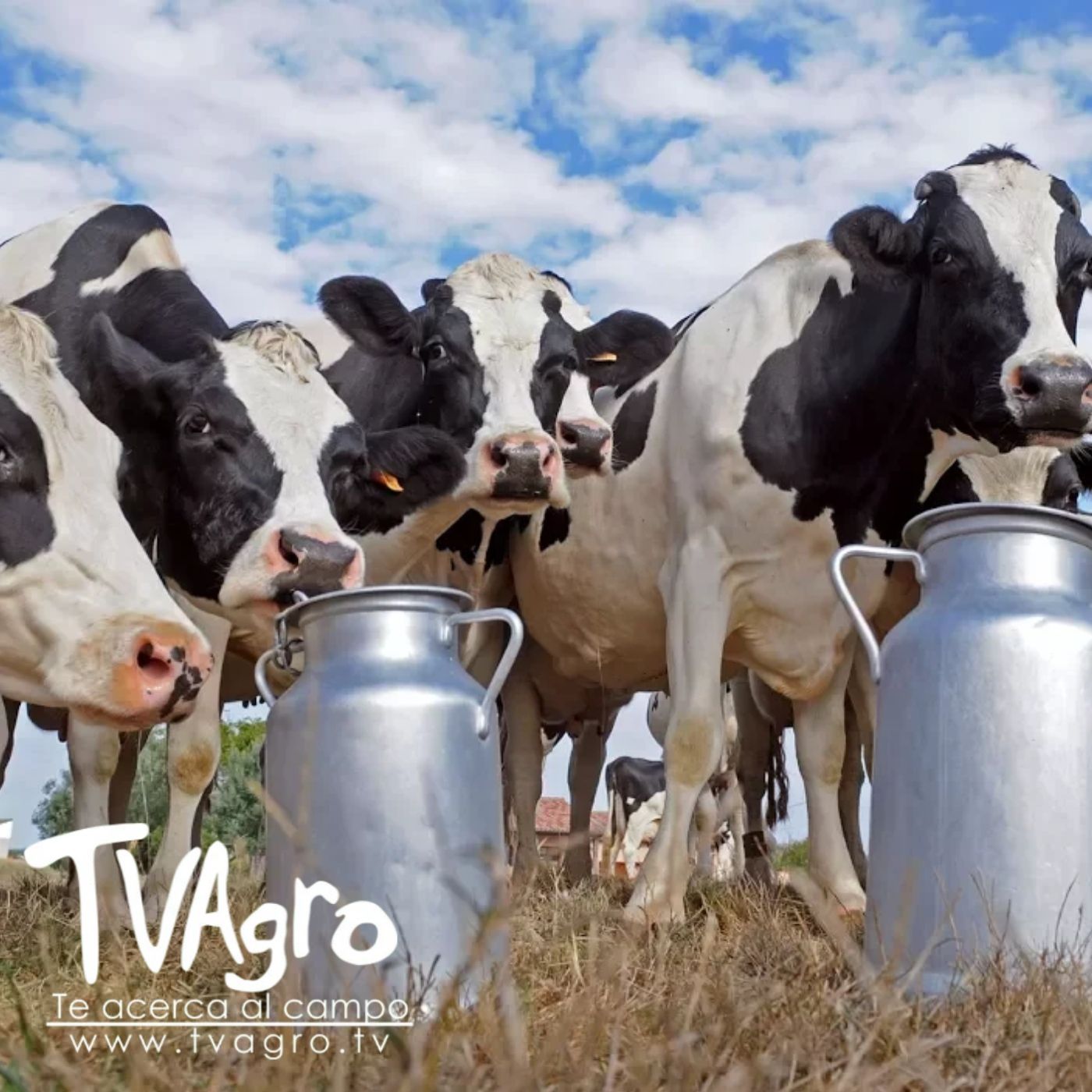 TV AGRO