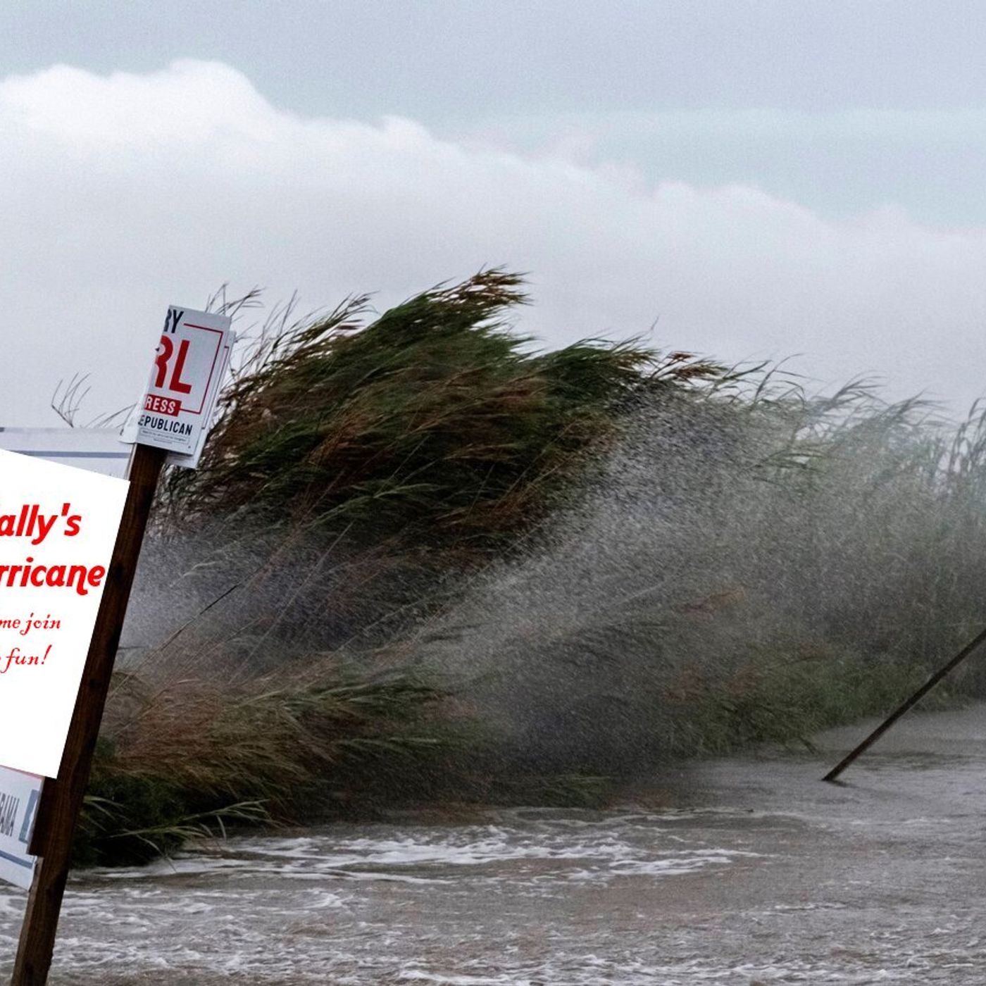 A monkey steals a cell phone, and Sally Nordstrom comes to talk about the hurricane that was obviously named after her