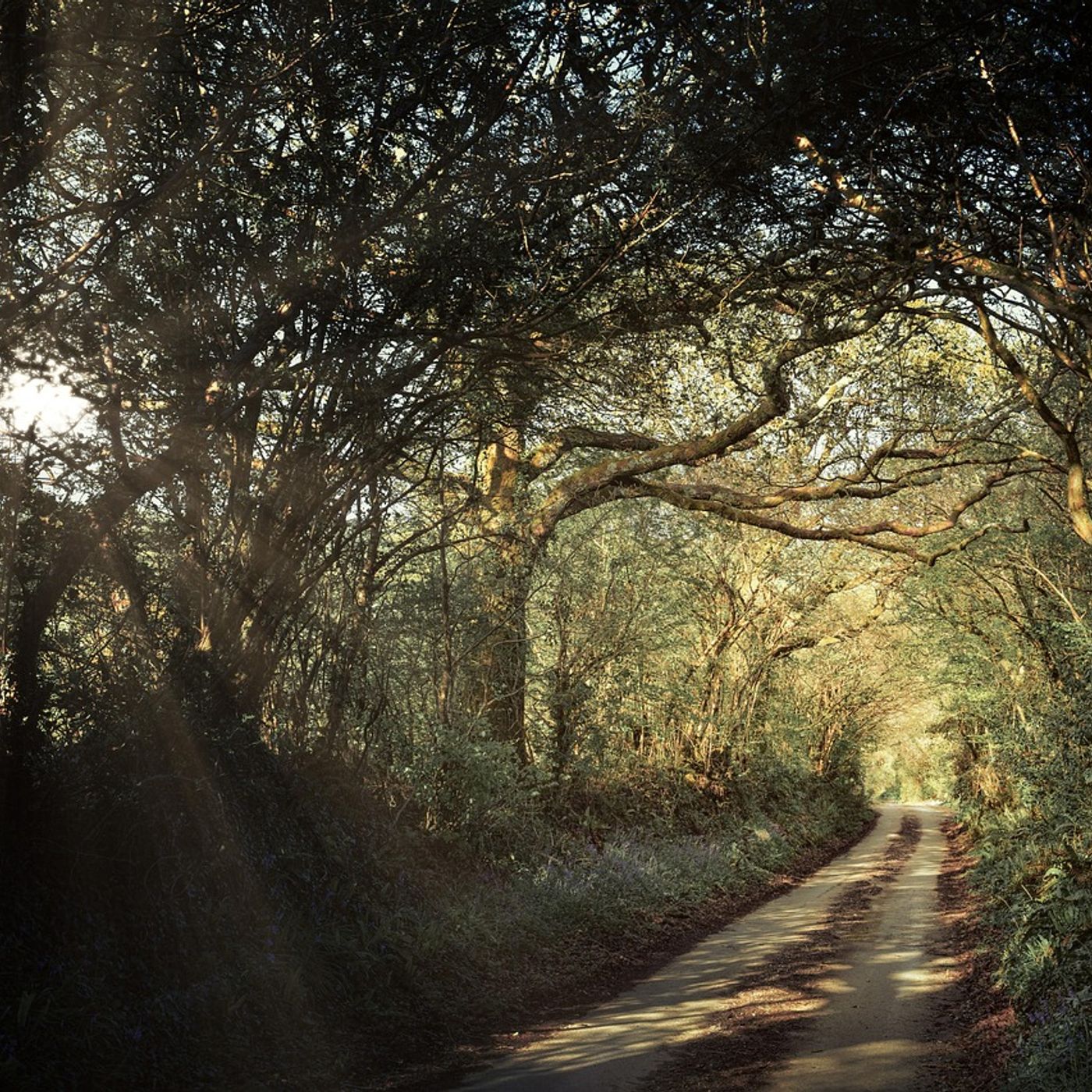 The Green Path cover art