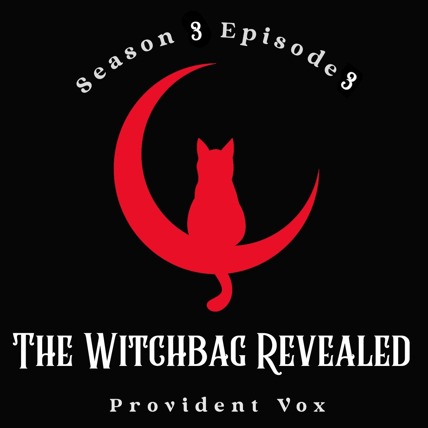 The Witchbag Revealed - Provident Vox (S3 E3) episode artwork