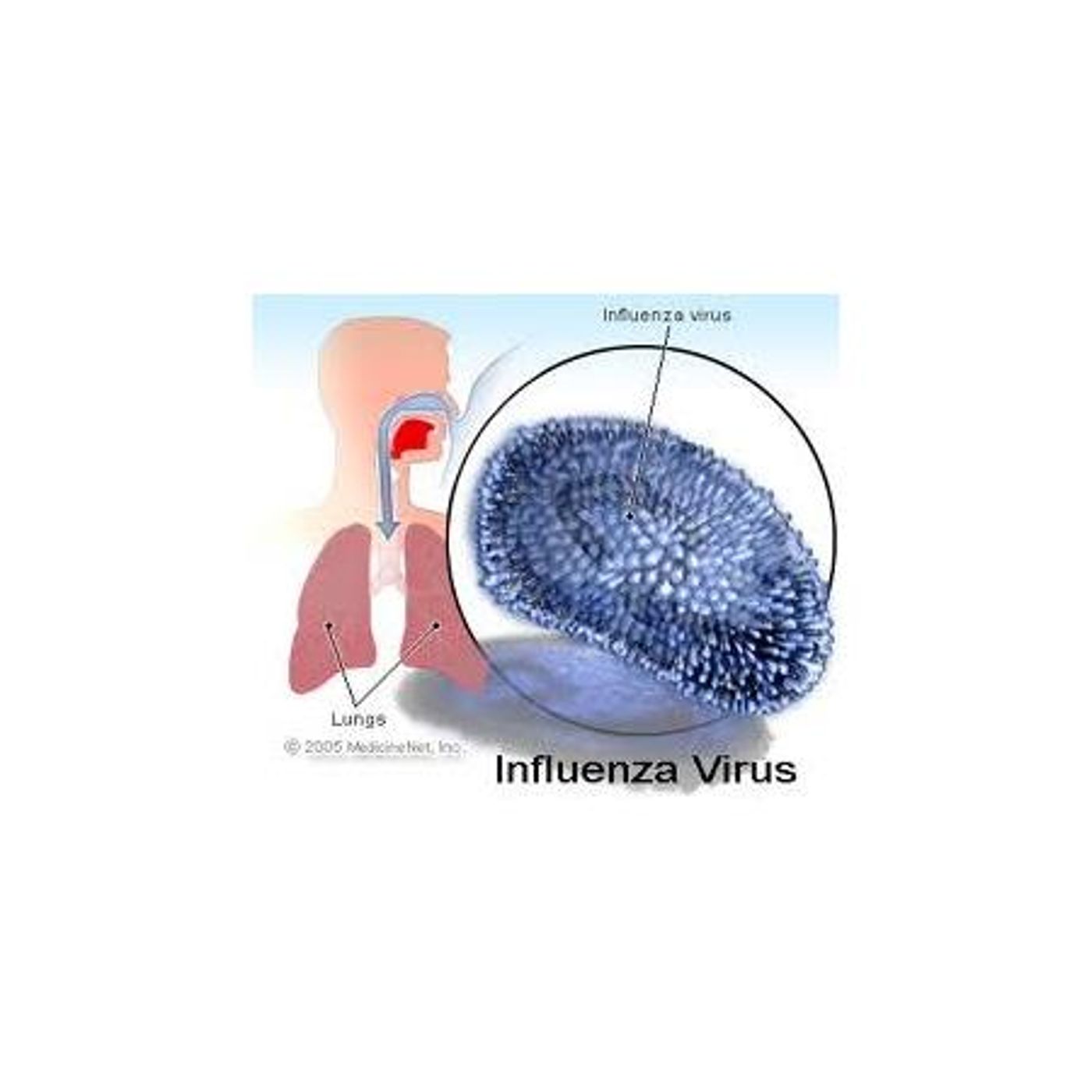 Survival Medicine Hour: Influenza, Civil War Anesthesia