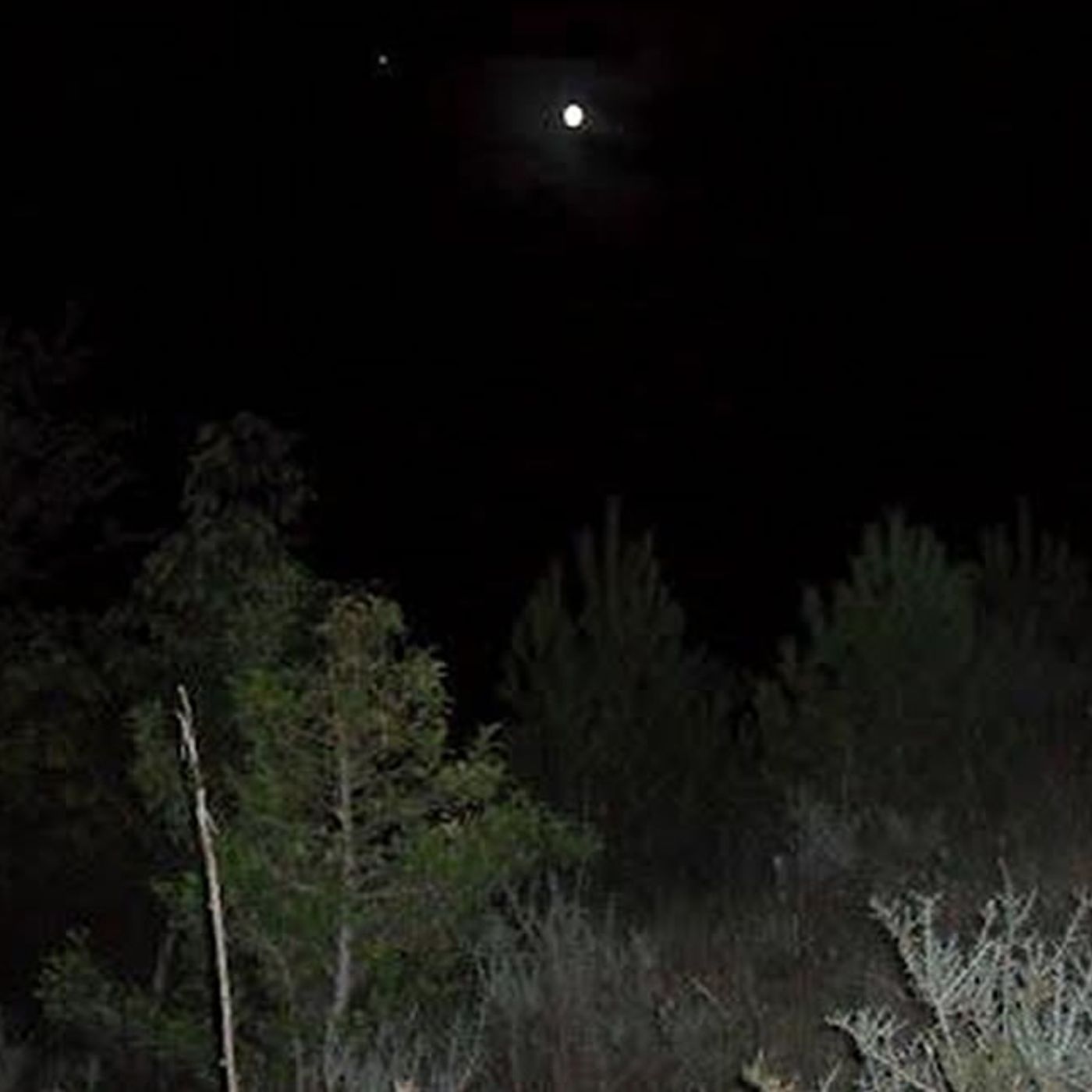 Historias de Miedo Noviembre 25 de 2021 BRUJAS EN EL CERRO