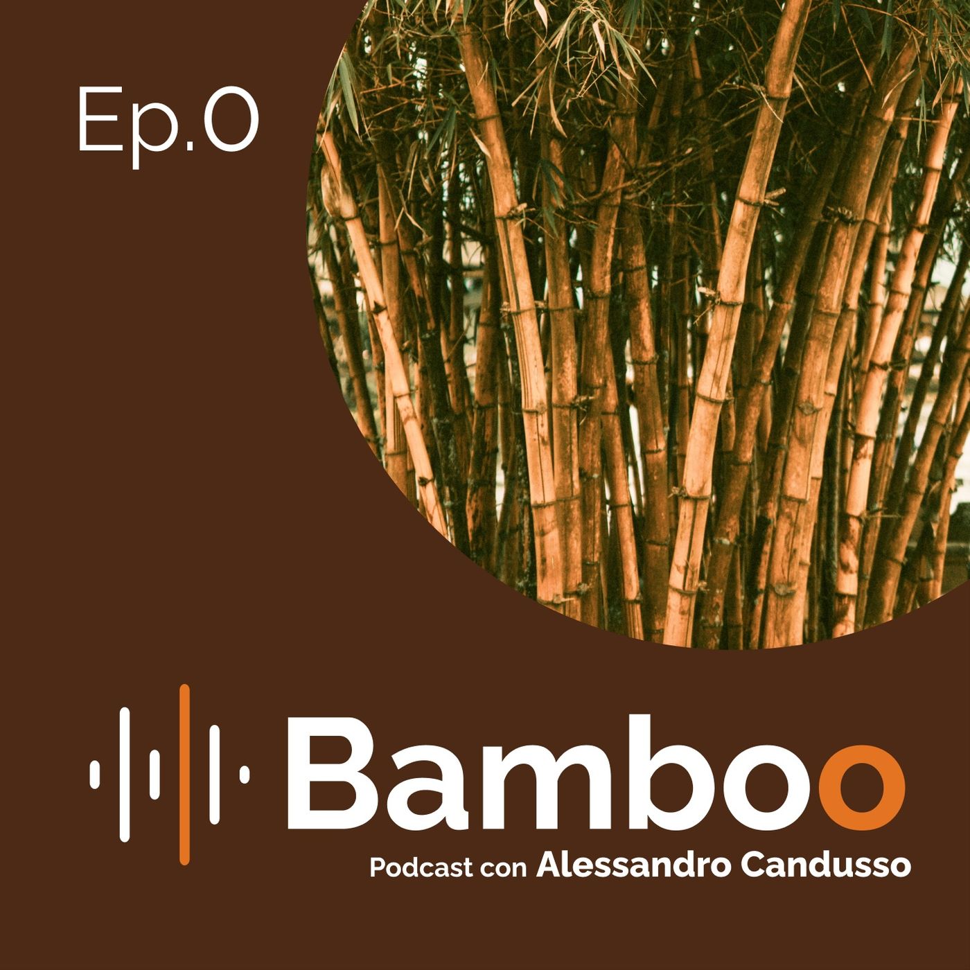 Bamboo Podcast con Alessandro Candusso