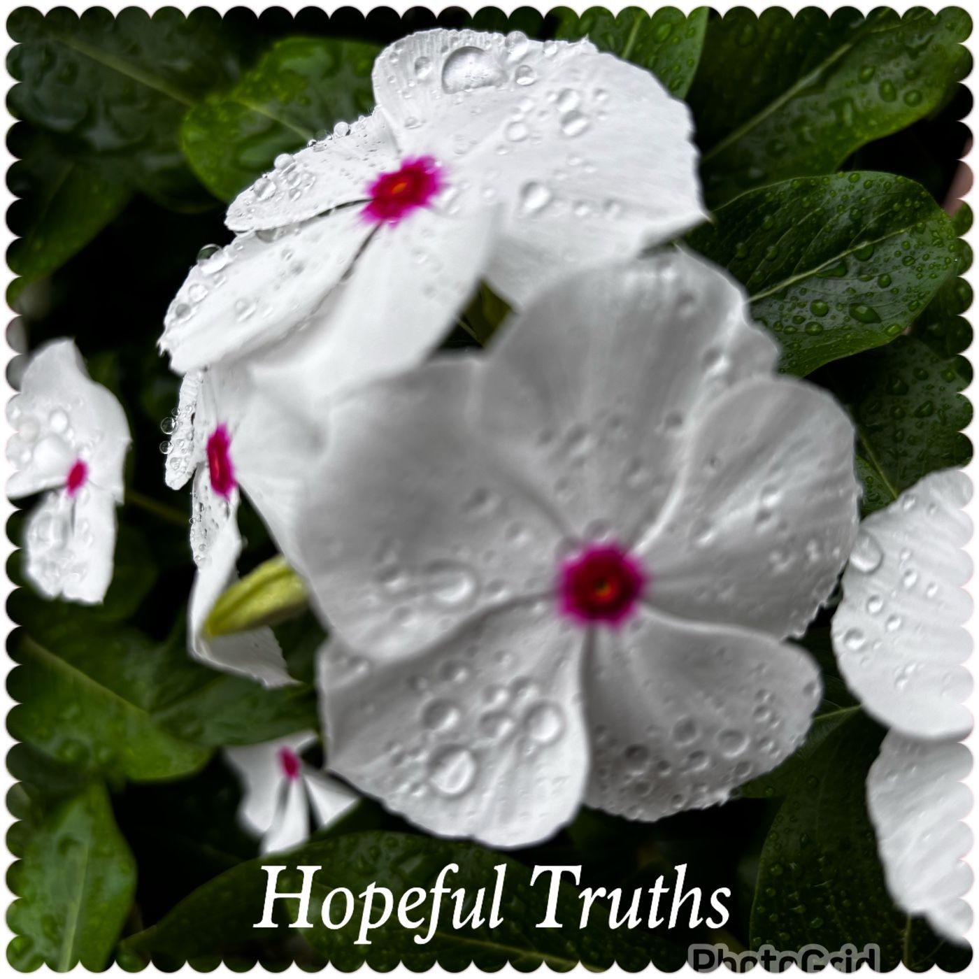 Hopeful Truths cover art