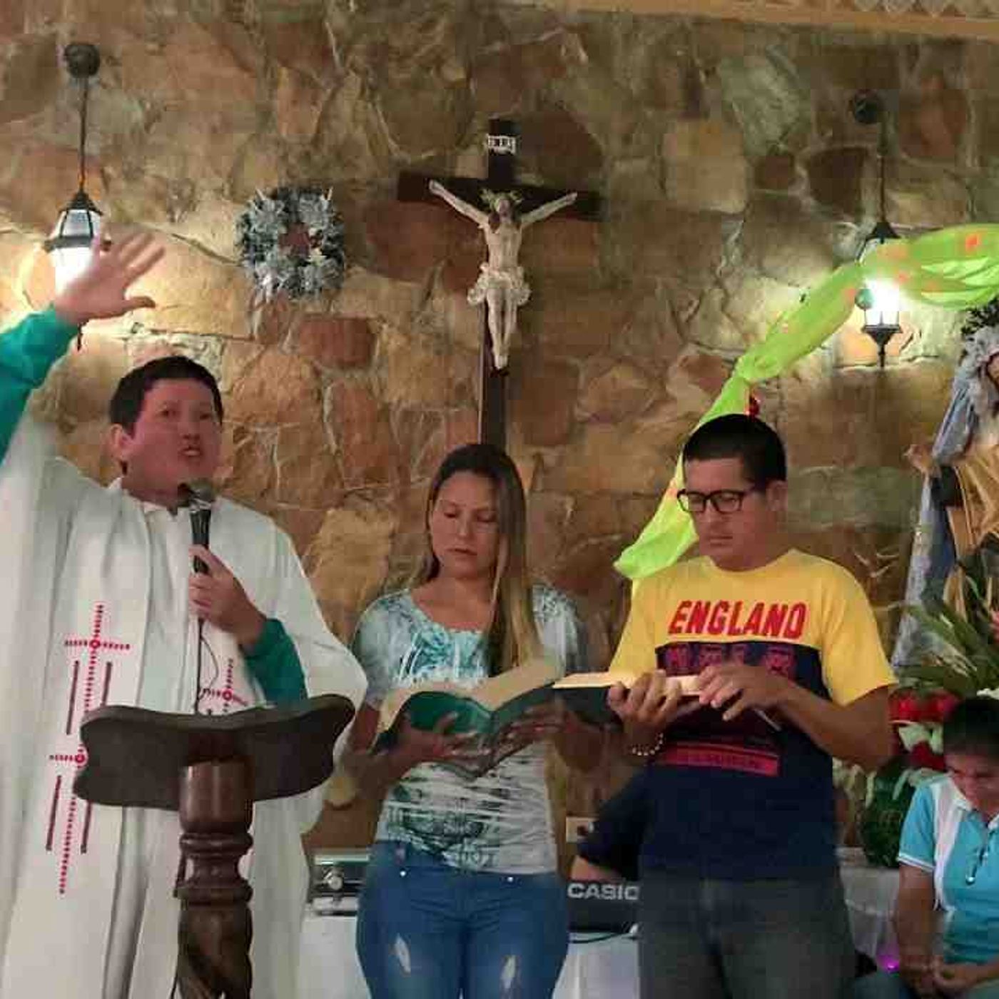 El bautismo de Cristo y de los cristiano. Padre Luis Toro(MP3_160K) episode artwork