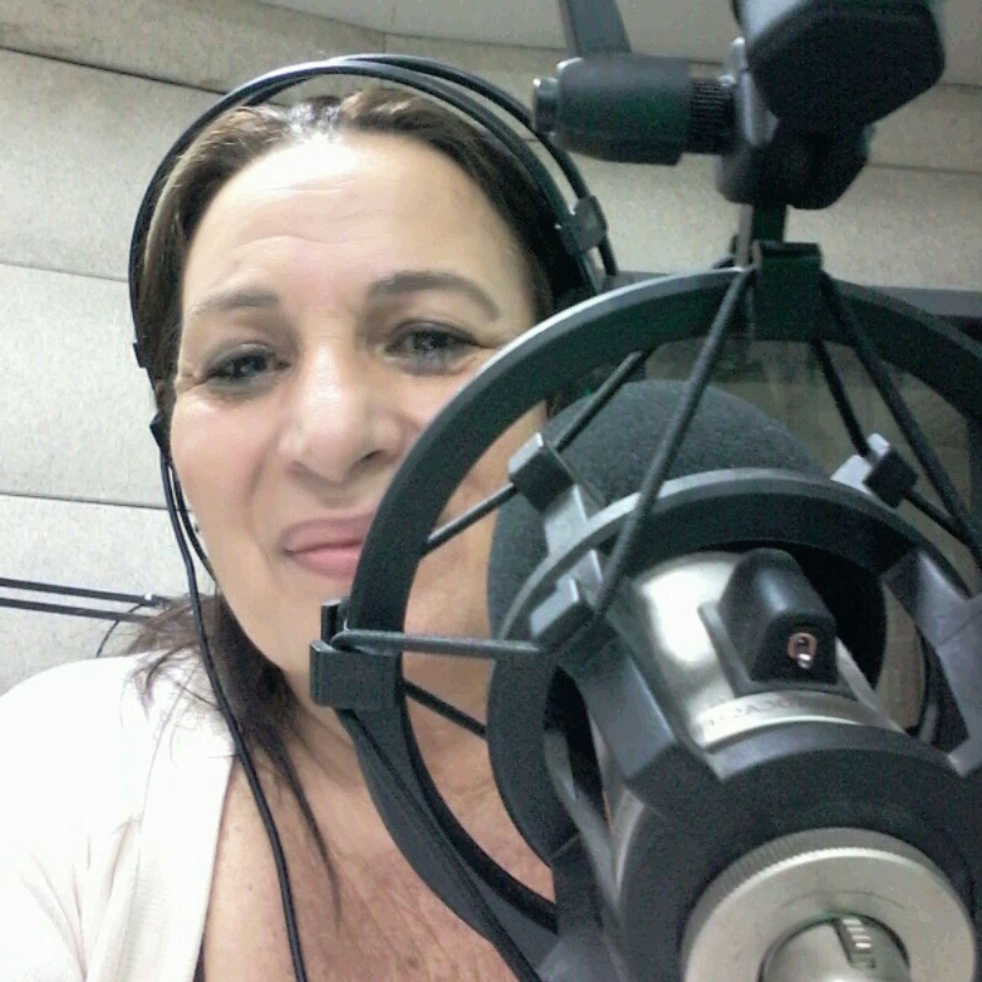La Radio  Elsa Silvestre