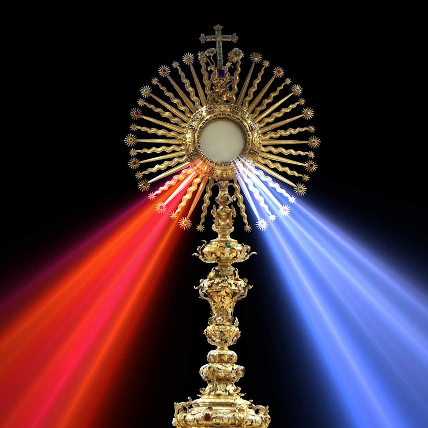 Reflection 7 - Instituting the Solemnity of Divine Mercy