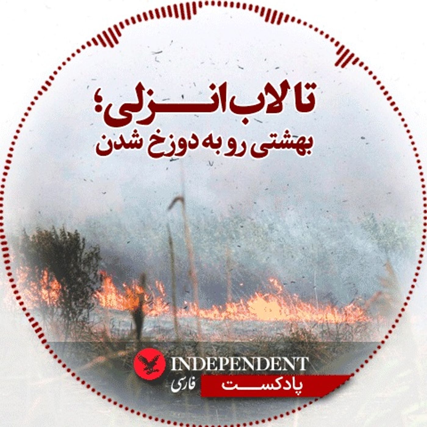 تالاب انزلی؛ بهشت رو به دوزخ شدن