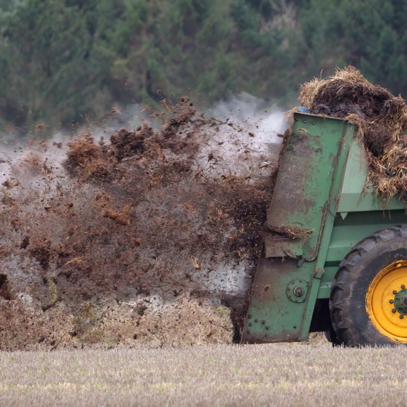 Le news di Re Soil Foundation