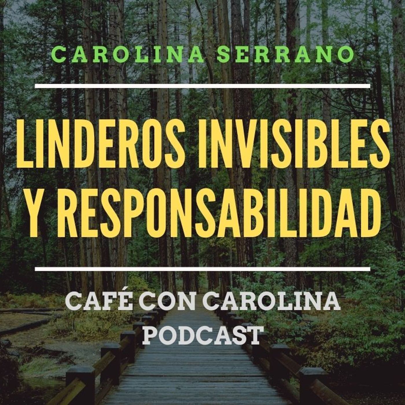 LOS LÍMITES Y LA RESPONSABILIDAD