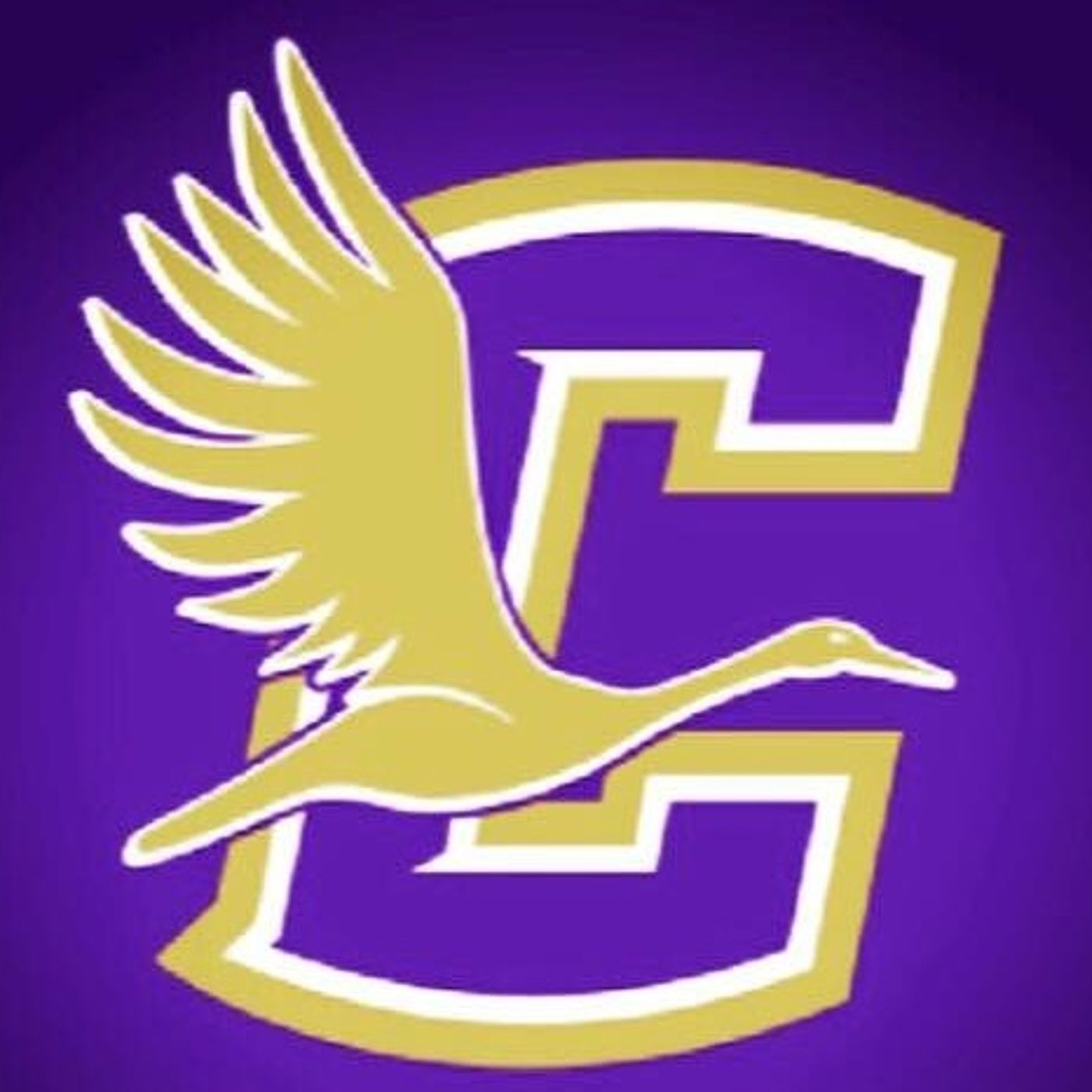 Crane Golden Cranes Football
