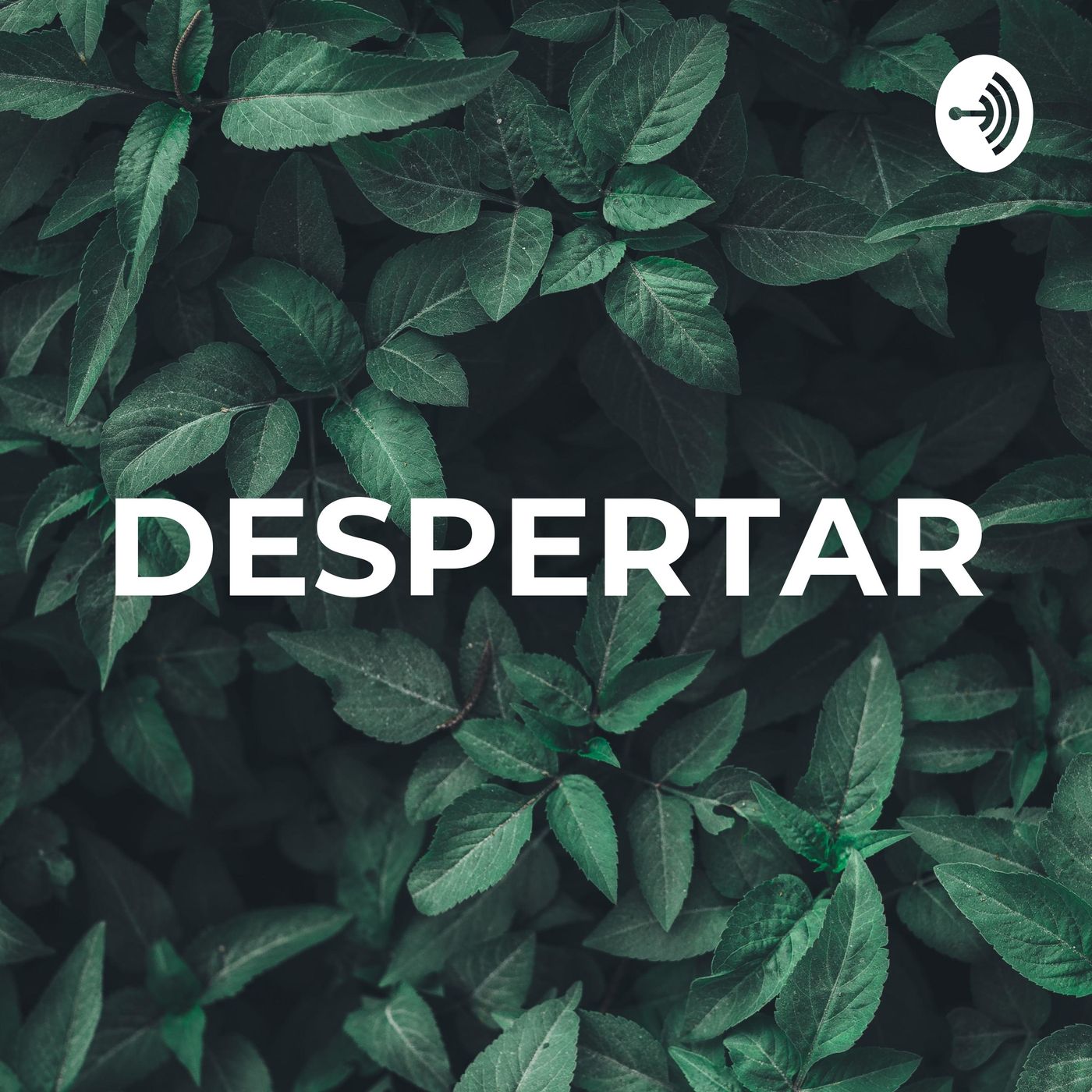 DESPERTAR - /AUDIO EXPERIENCE/