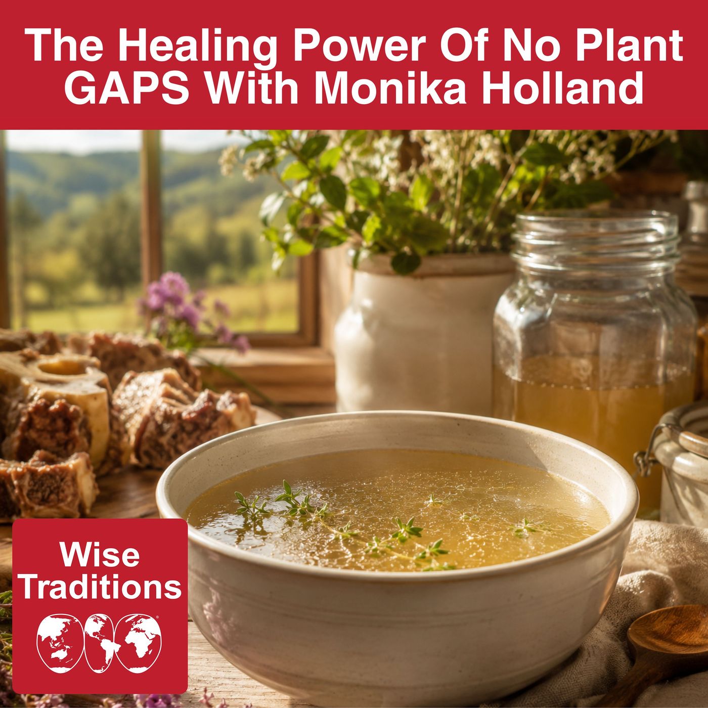 595: The Healing Power Of No Plant GAPS With Monika Holland episode artwork