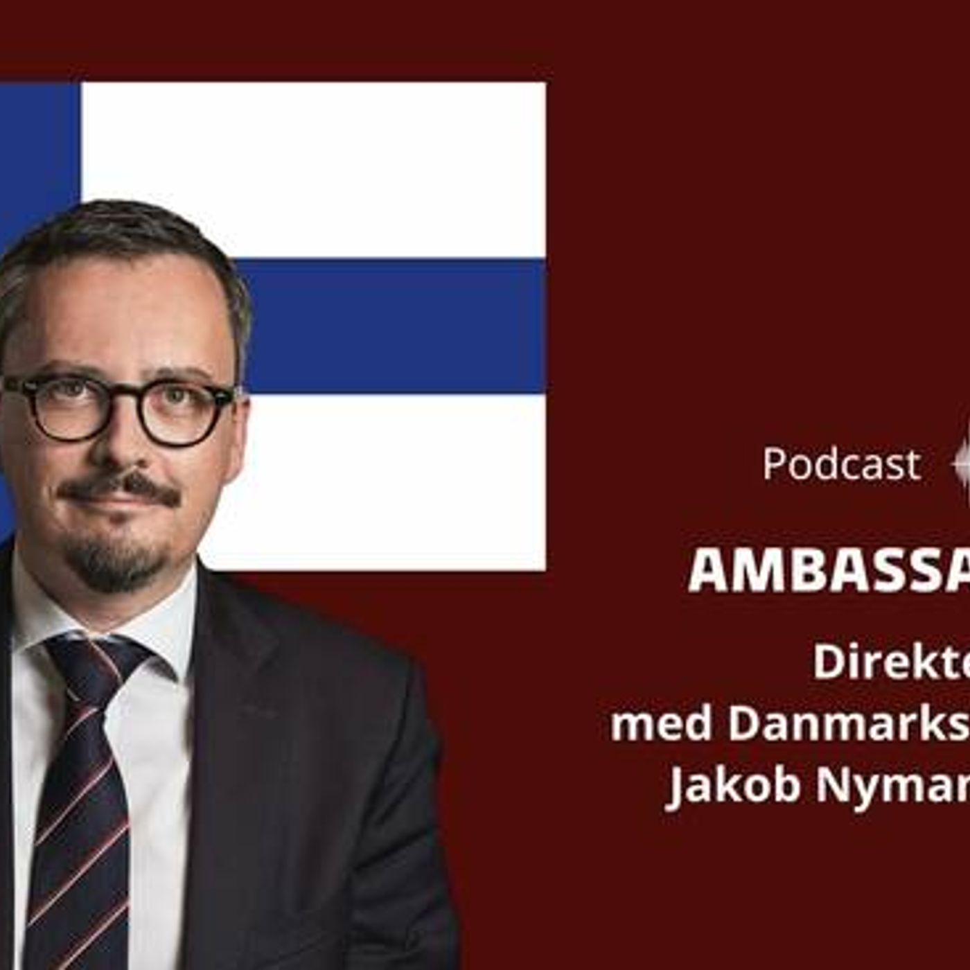 Ambassadørerne