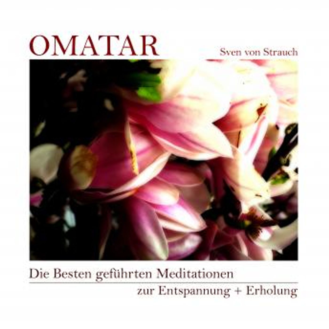 Listen to Trending Full Audiobooks in Health & Wellness, Mindfulness & Meditation