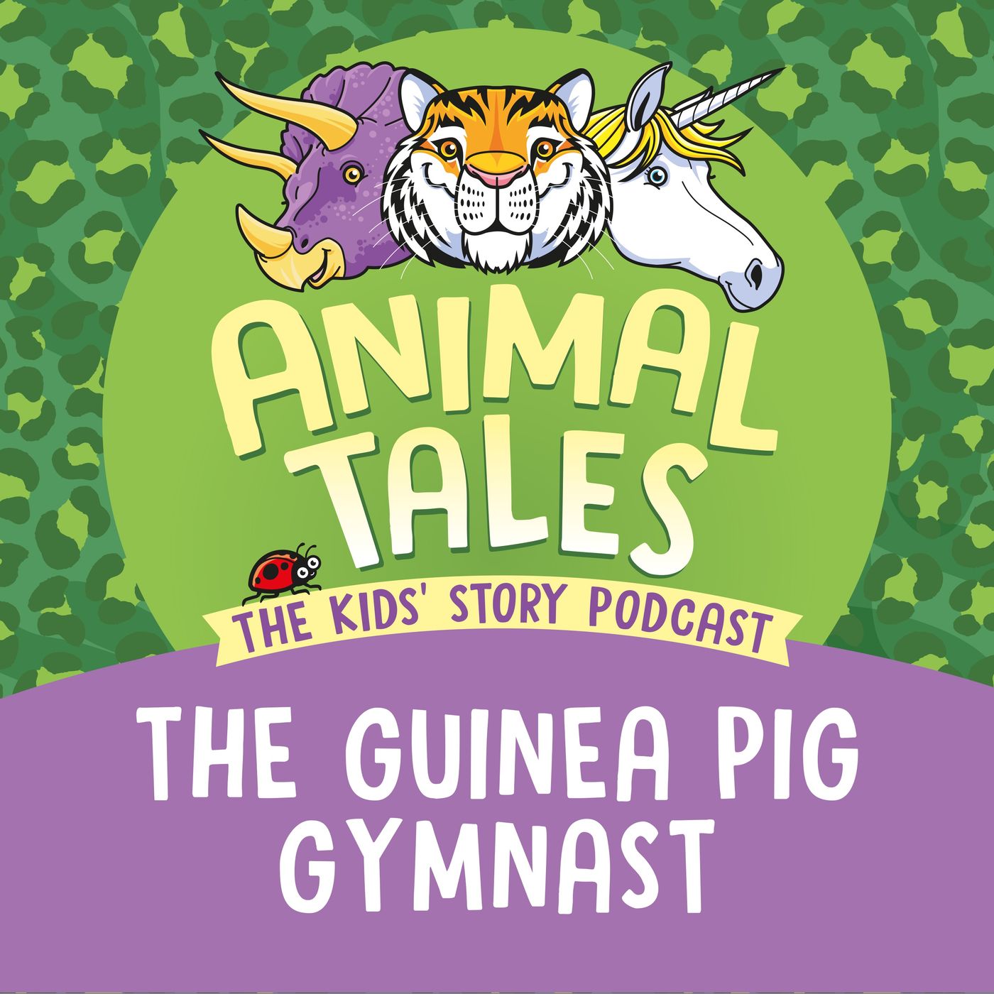 The Guinea Pig Gymnast