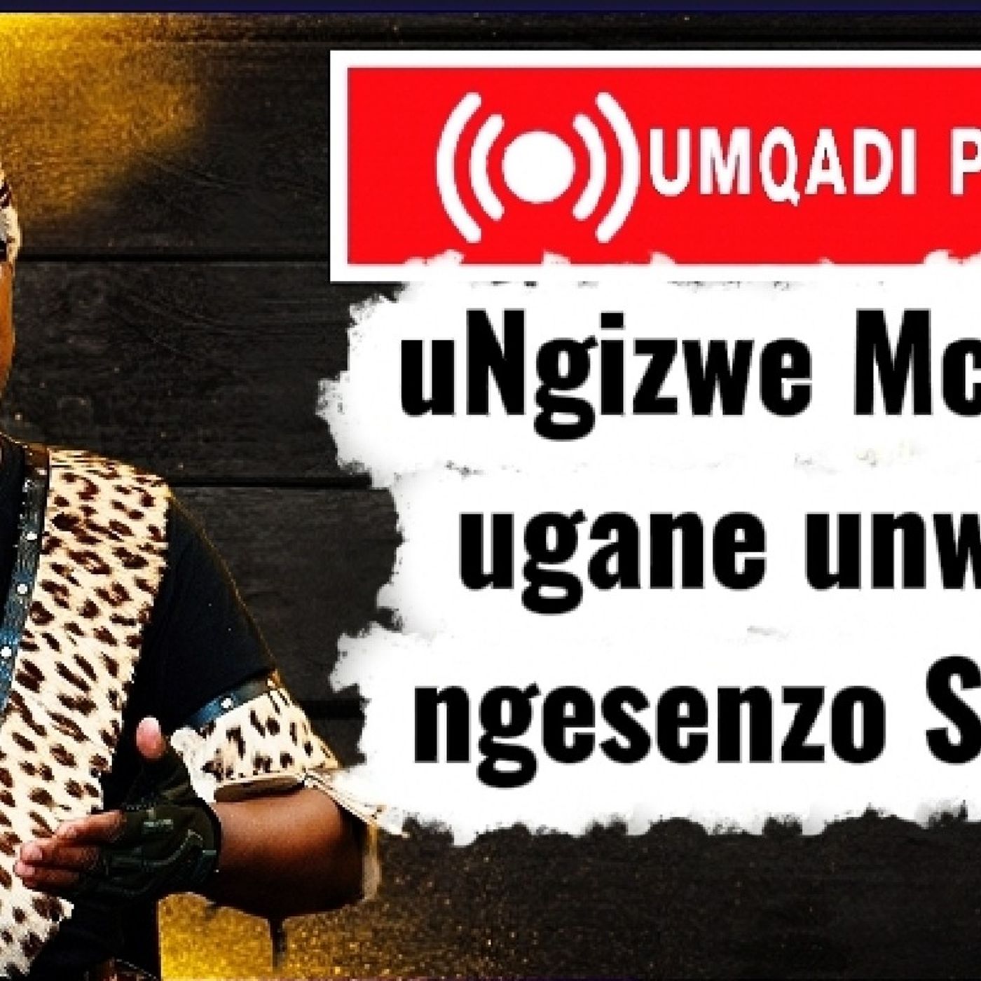 Ngizwe Mchunu: uthukuthele kakhulu